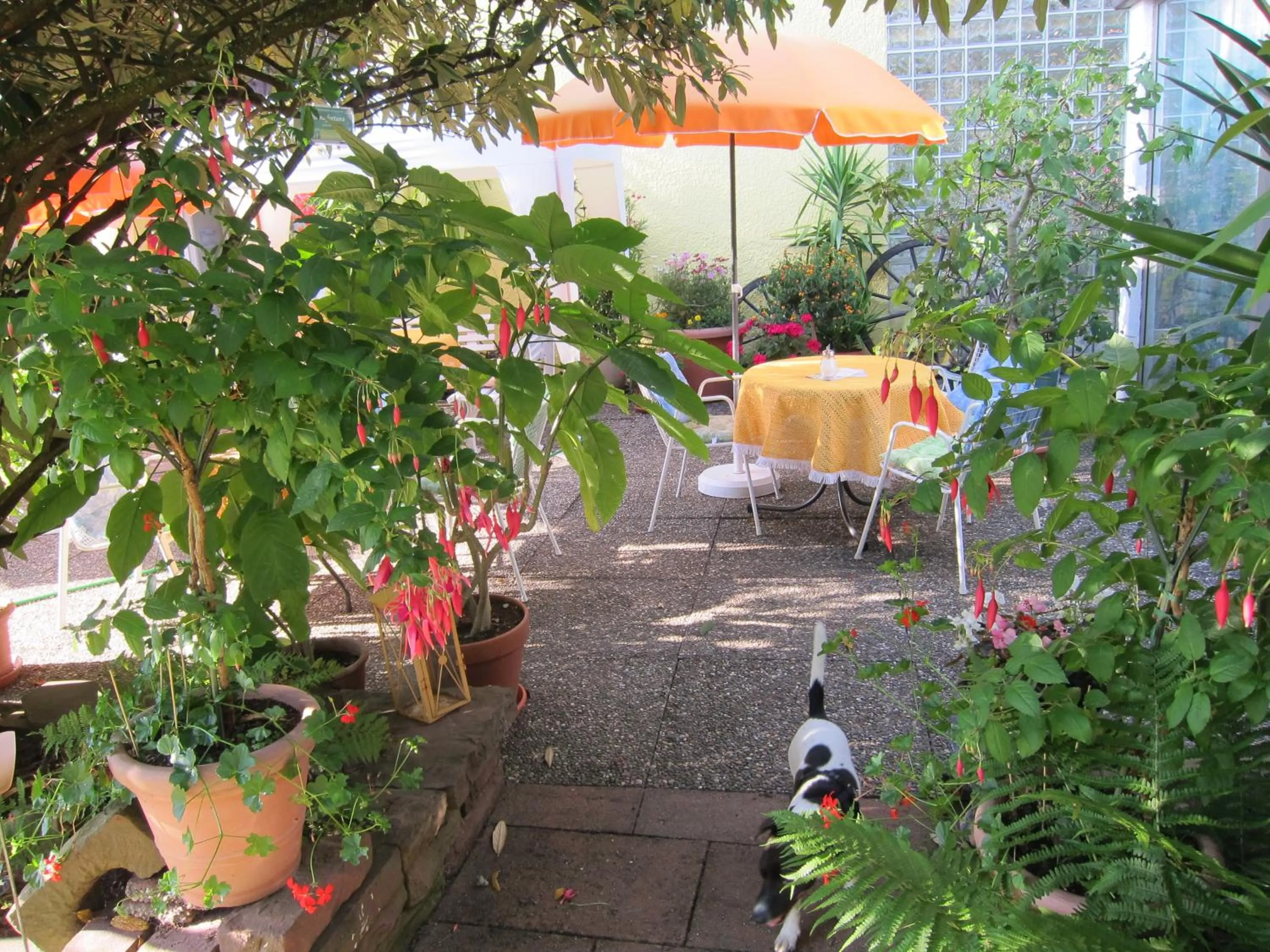 Garden in Haus am Kurpark