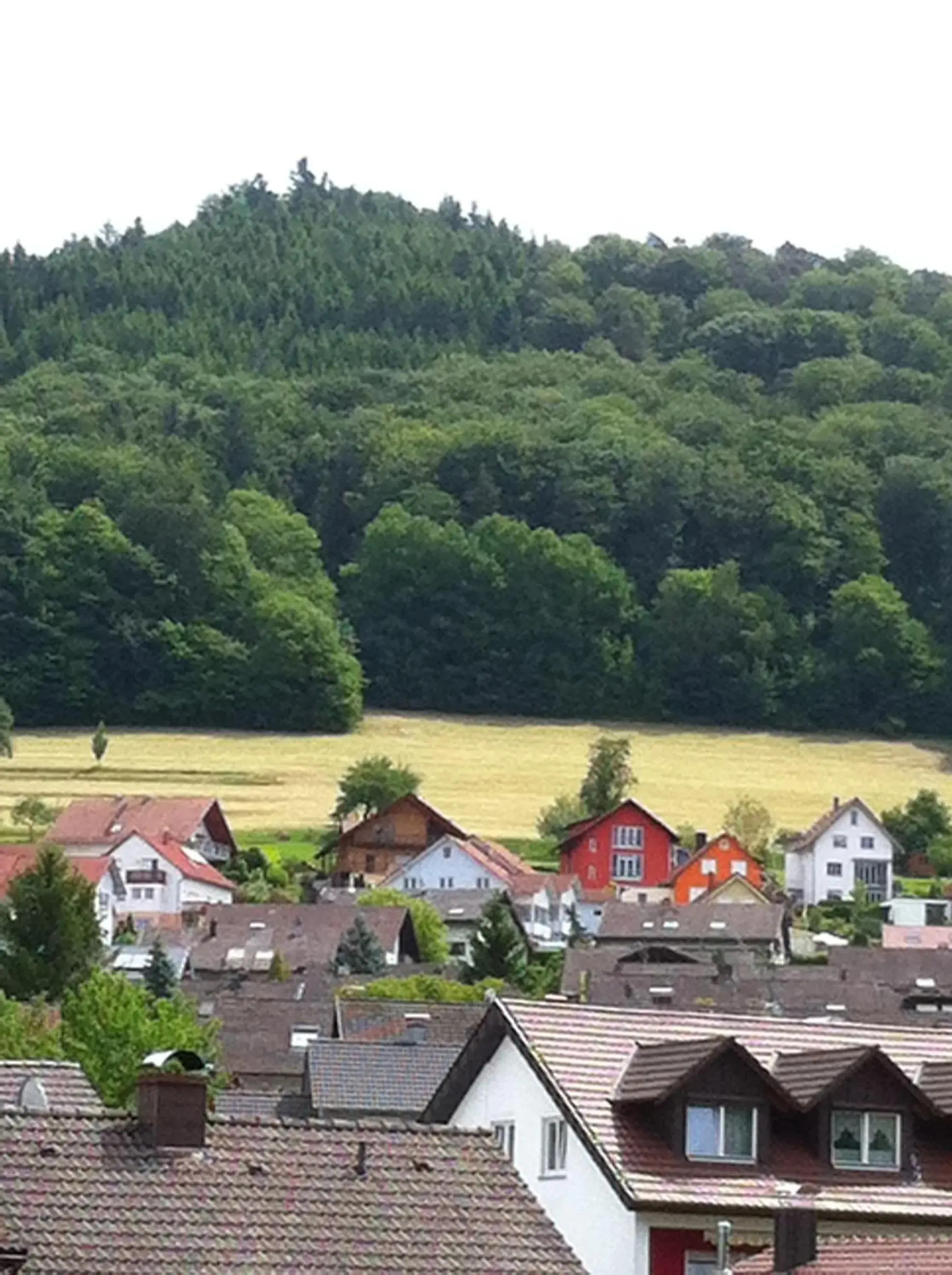 Double Room - single occupancy in Hotel Garni Schmieder’s Ochsen Double Room - single occupancy in Hotel Garni Schmieder’s Ochsen