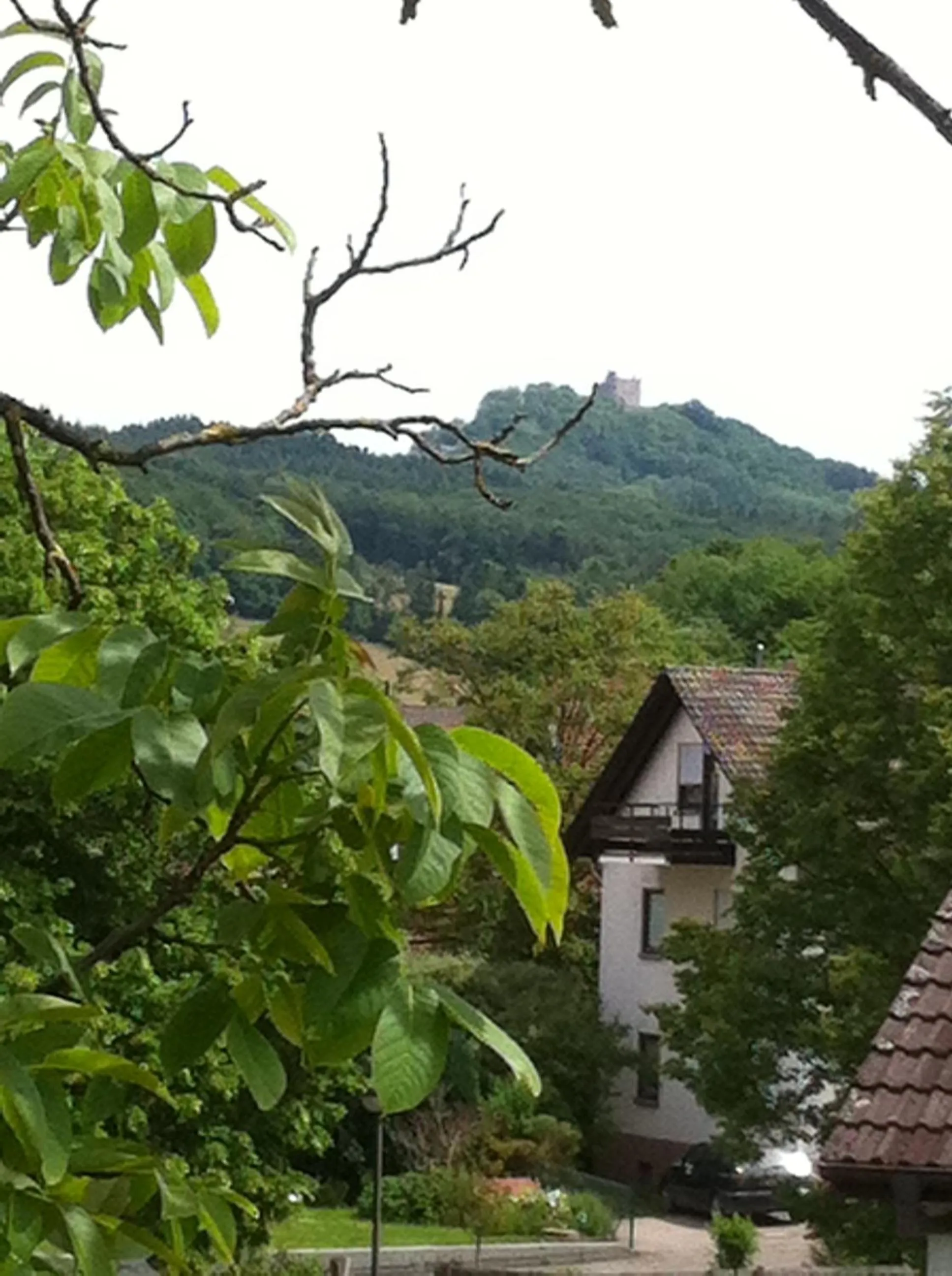 Area and facilities in Hotel Garni Schmieder’s Ochsen