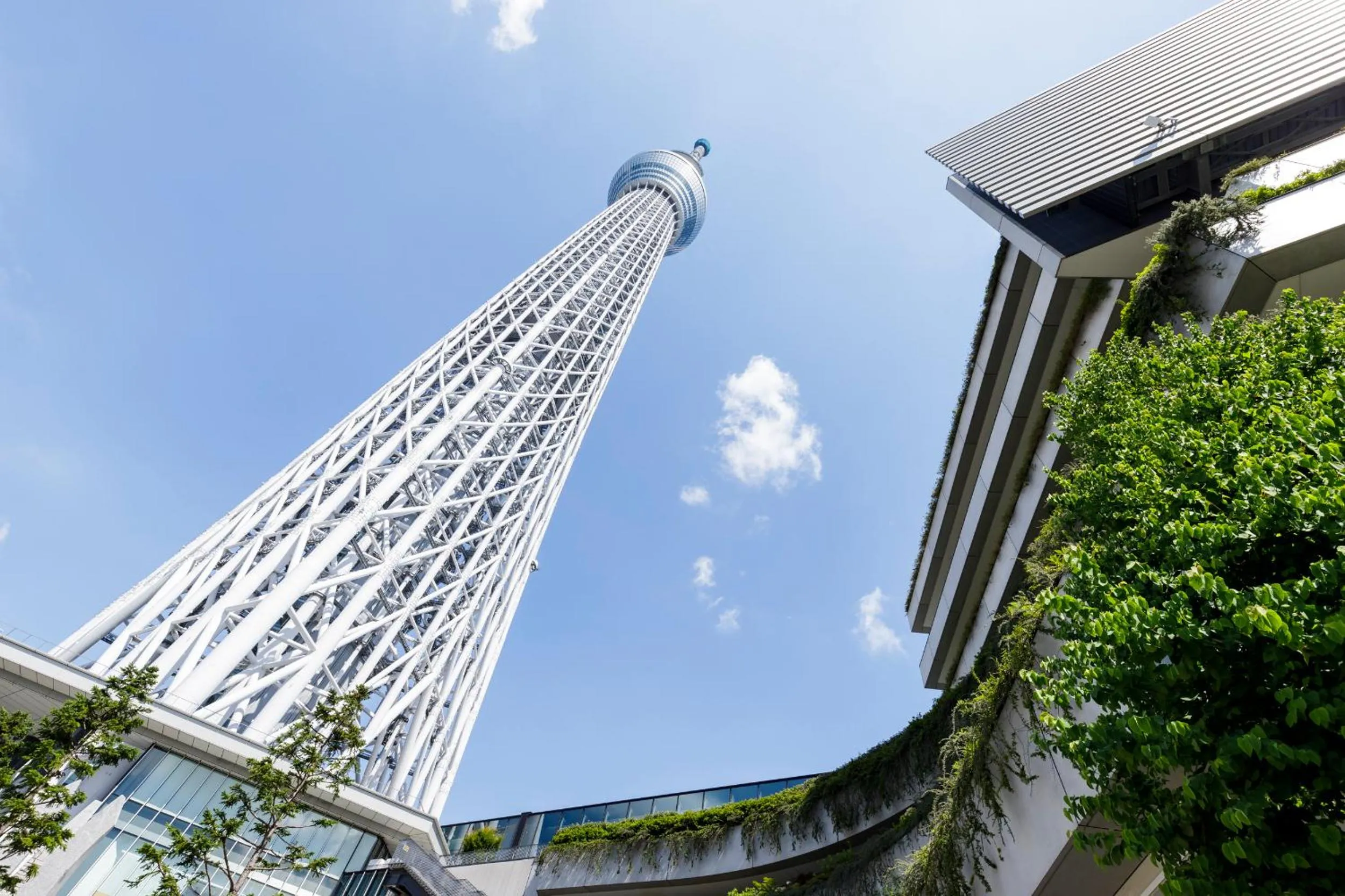 zens skytree