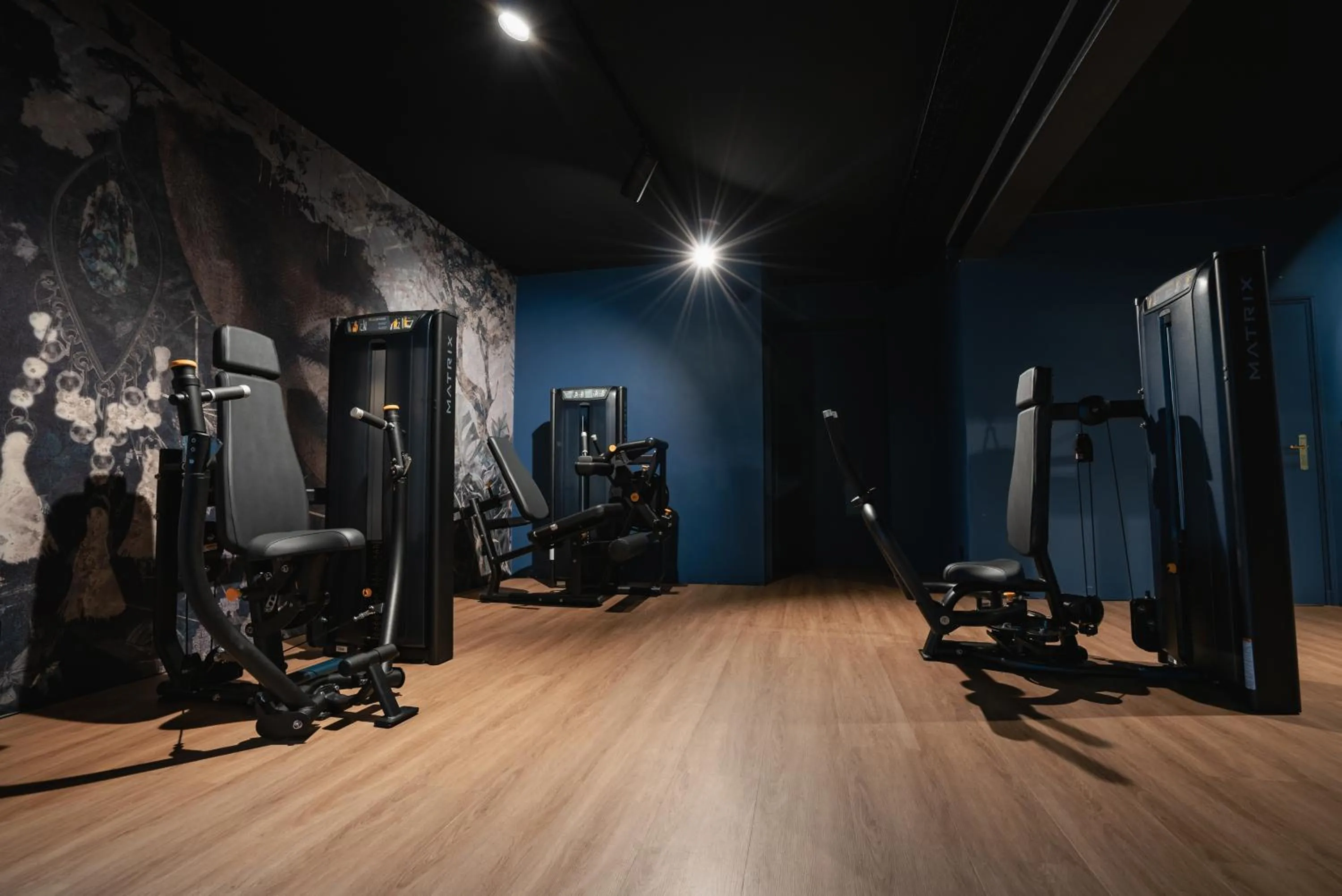 Fitness centre/facilities in Hotel Dreiflüssehof