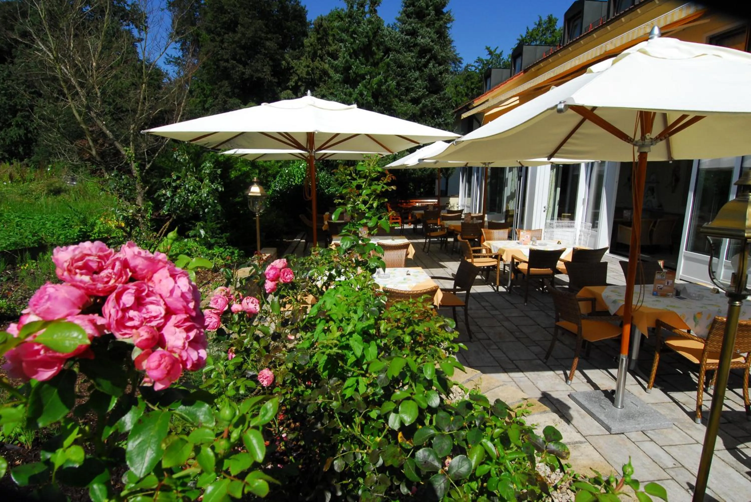 Restaurant/places to eat in Hotel Dreiflüssehof