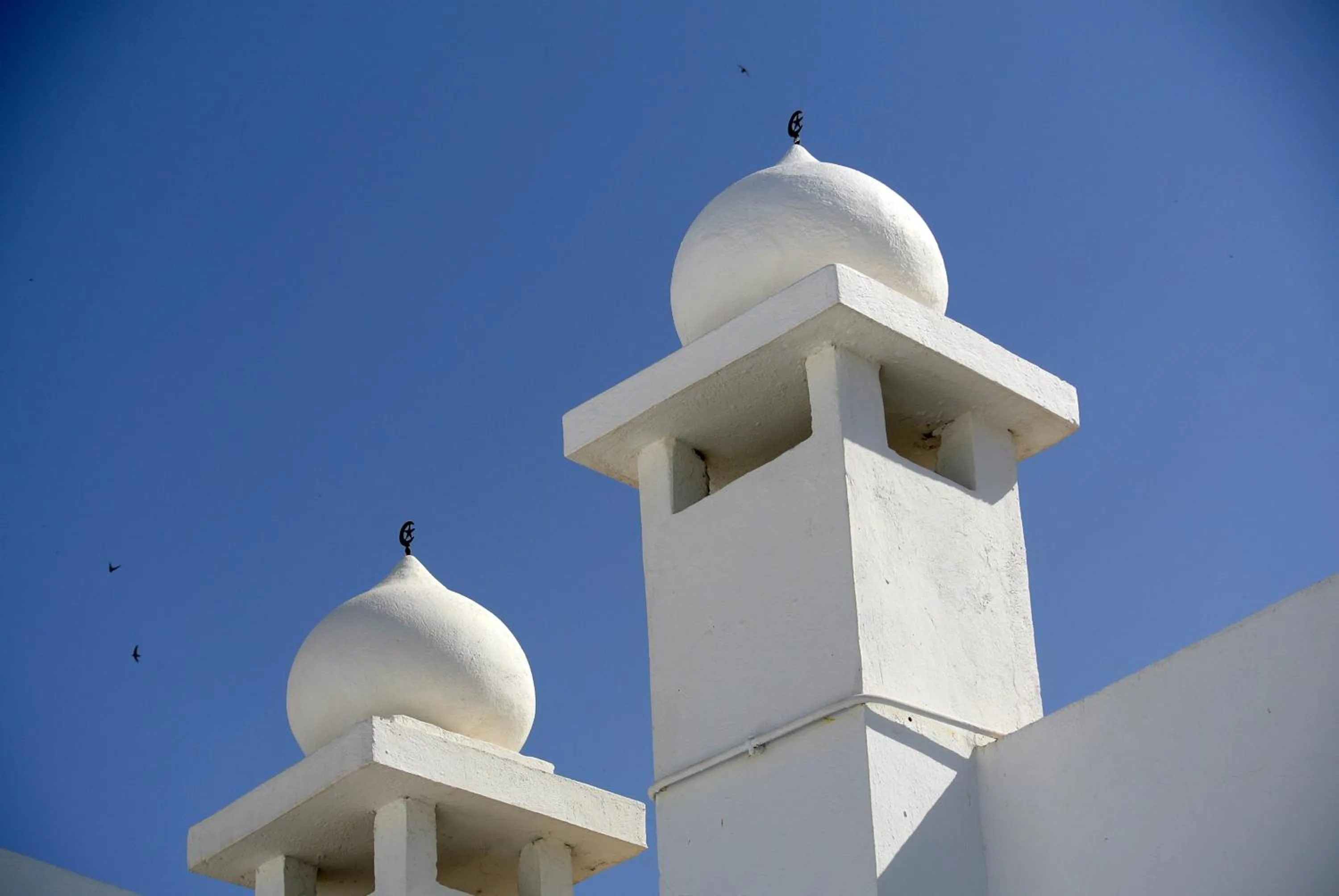 View (from property/room) in Dar Ben Gacem