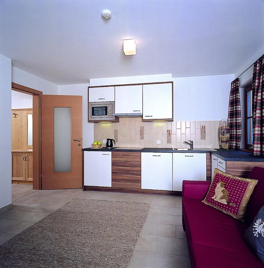 Kitchen or kitchenette in Apartments Restaurant Rusctlea