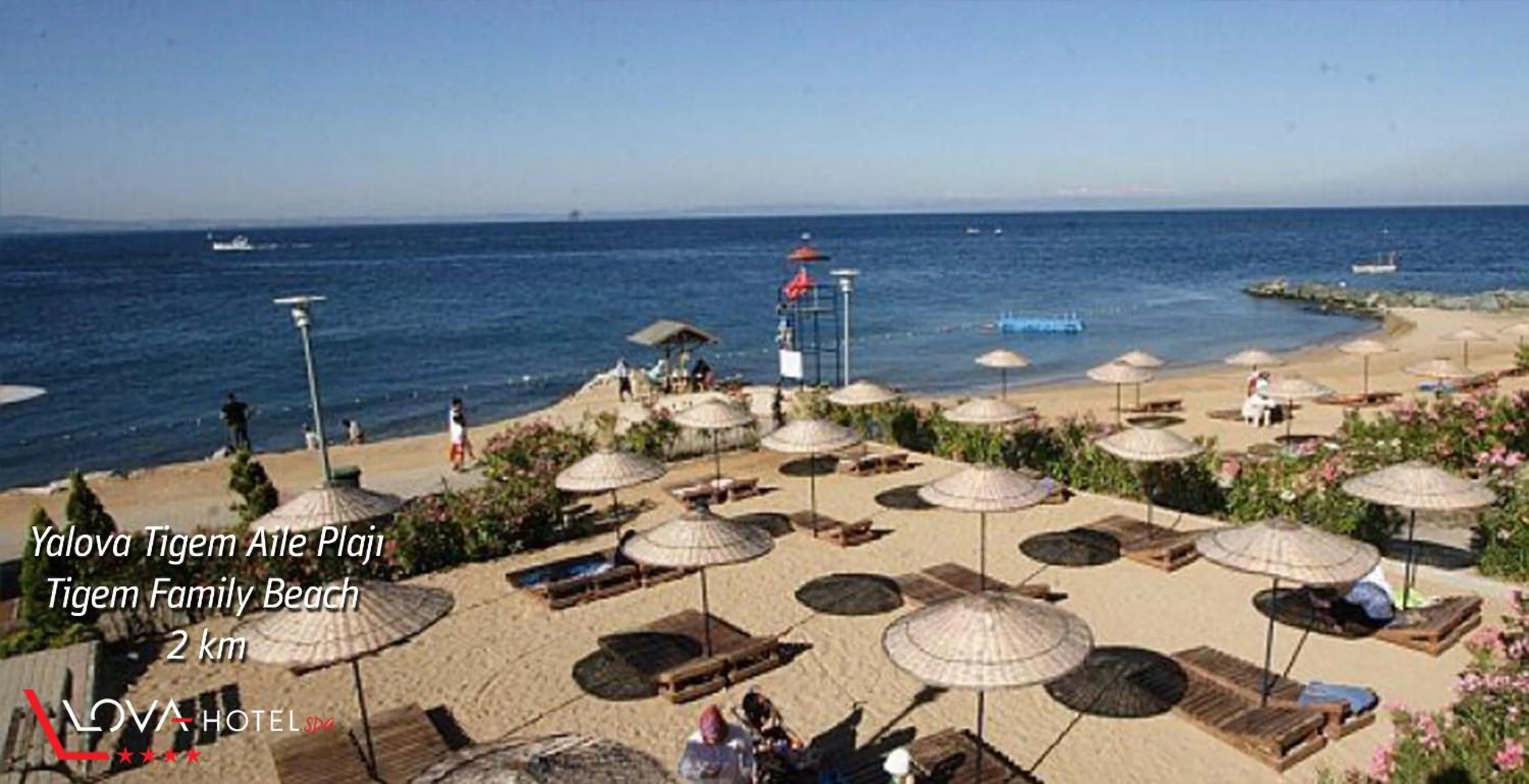 Other in Yalova Lova Hotel & SPA Yalova