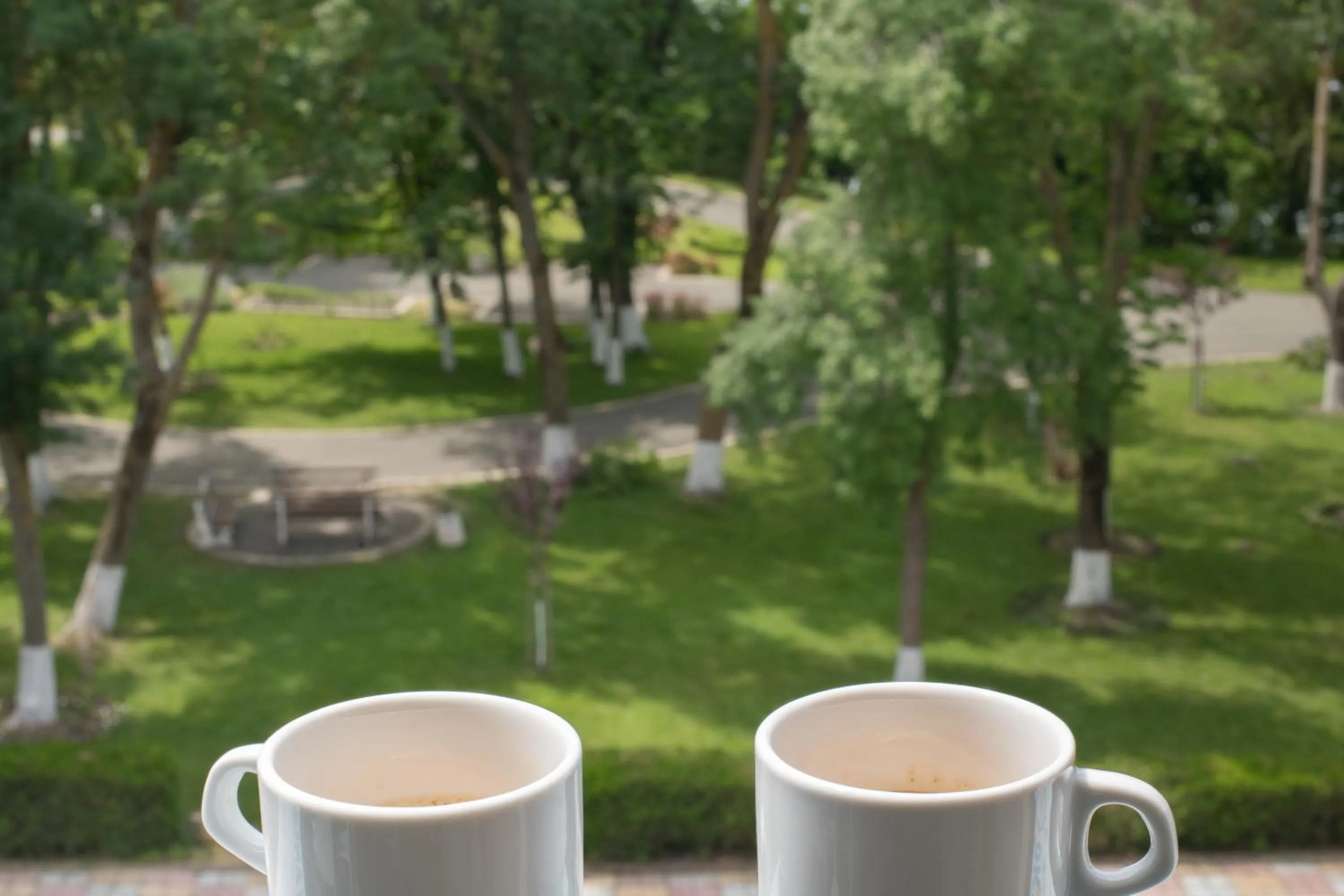 View (from property/room) in Cinema Hotel