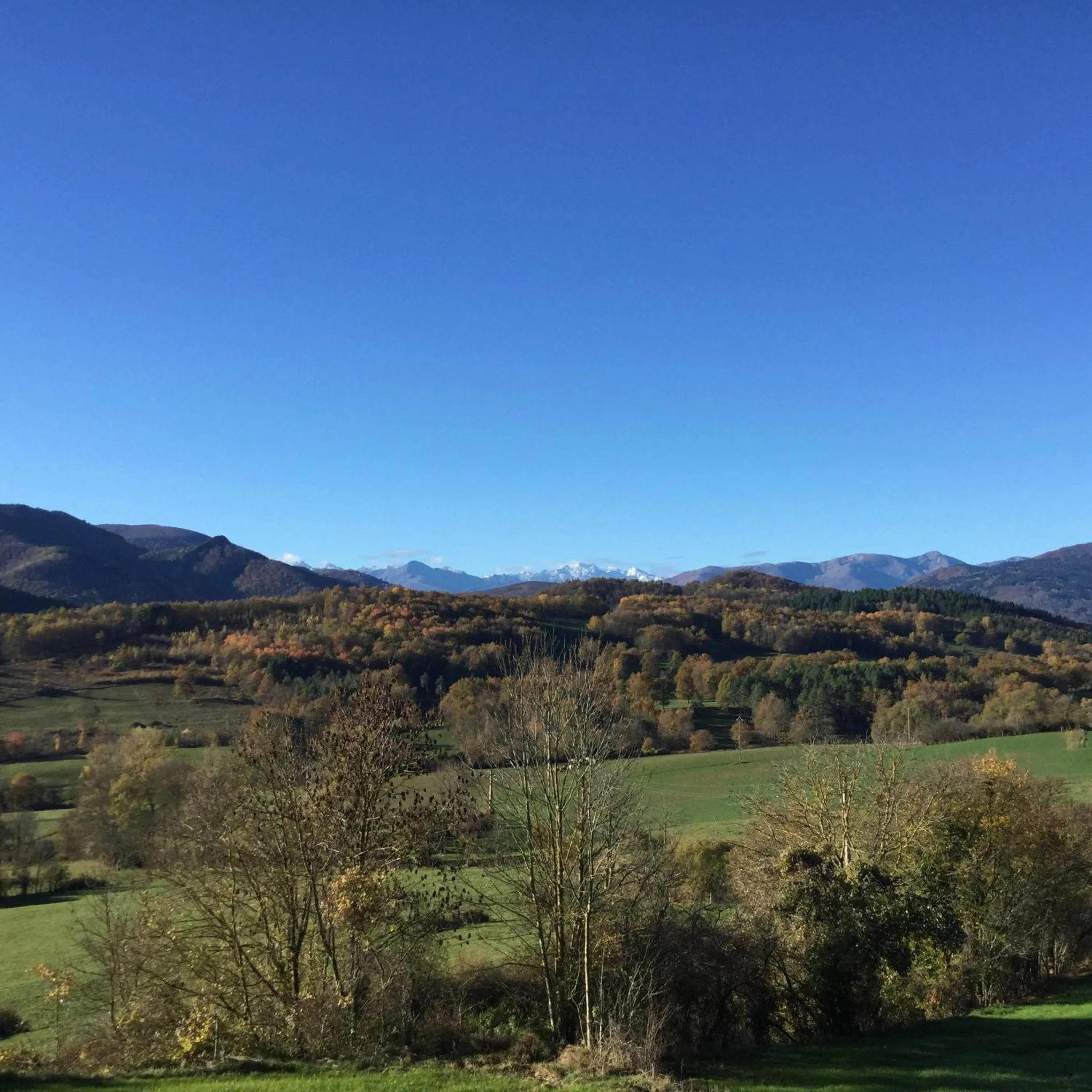Natural landscape in Infocus-Du-Sud