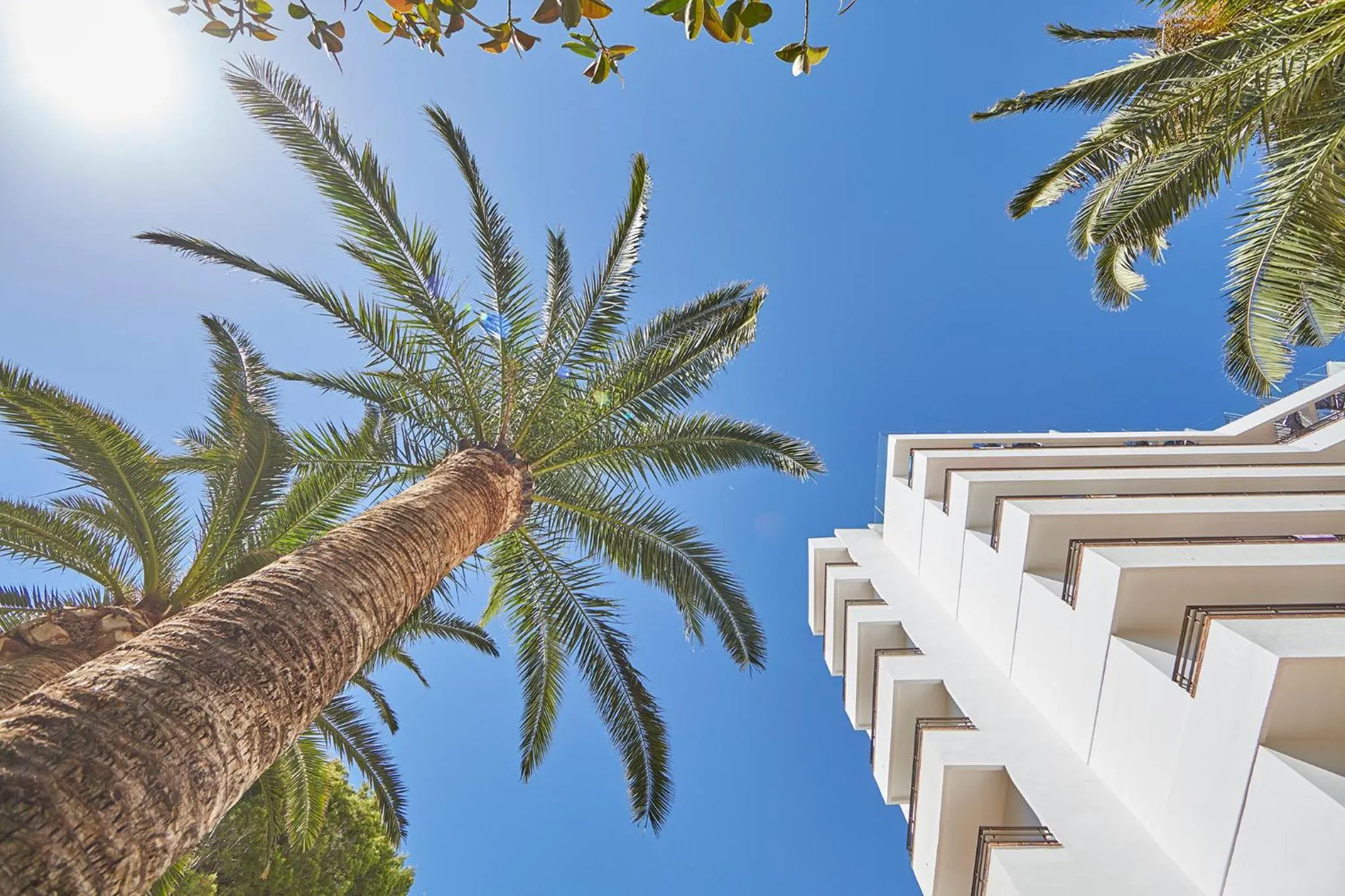 Balcony/Terrace in Hotel Principe Wellness&Spa