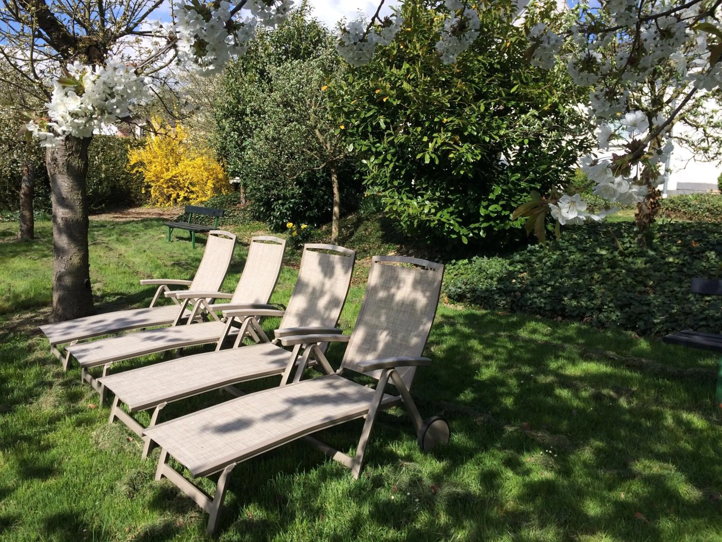 Garden in Gasthaus Weingut Stahl