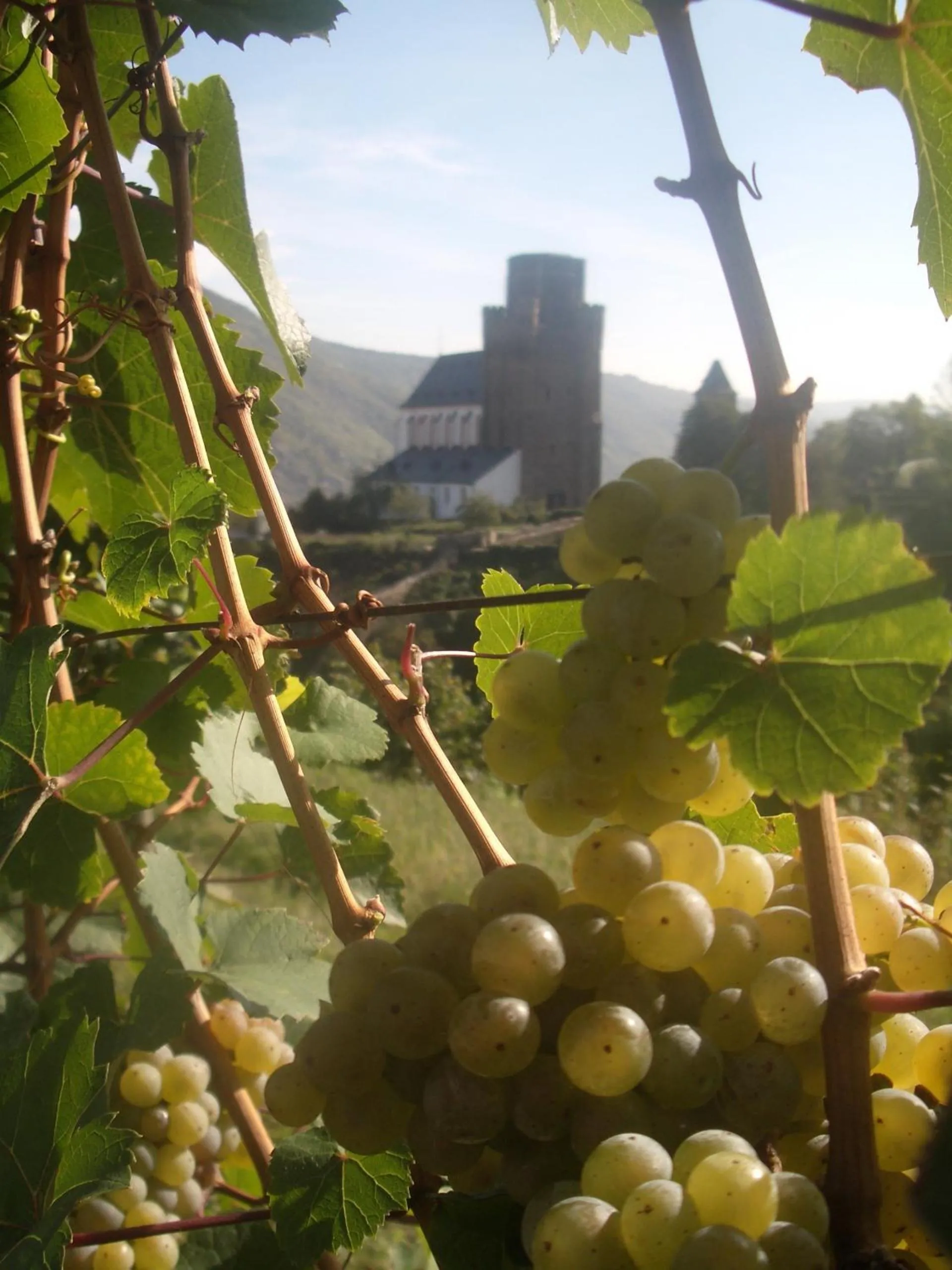 Hiking in Gasthaus Weingut Stahl