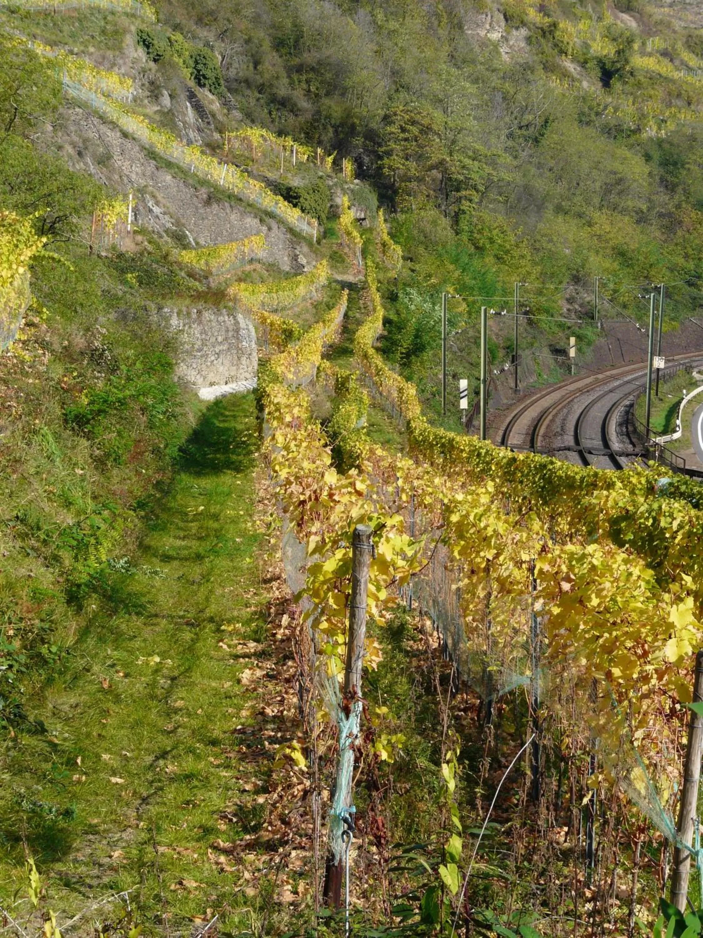 Autumn in Gasthaus Weingut Stahl