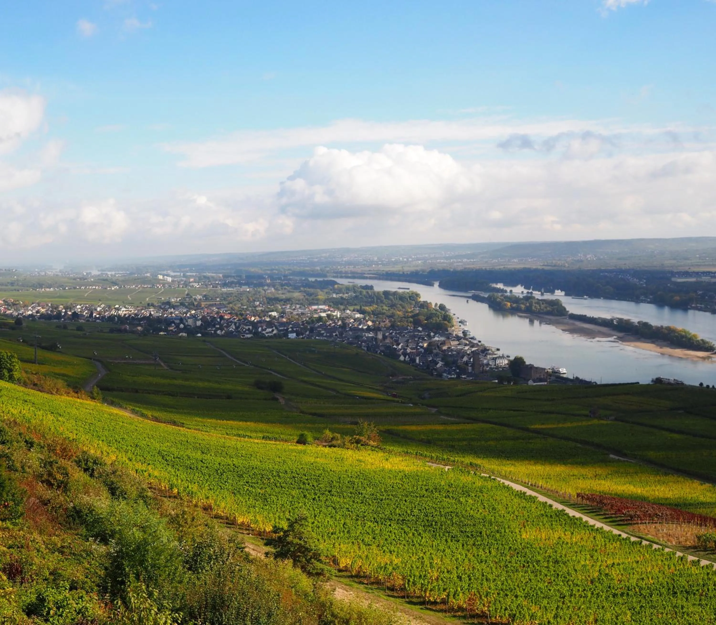 Natural landscape in Gasthaus Weingut Stahl