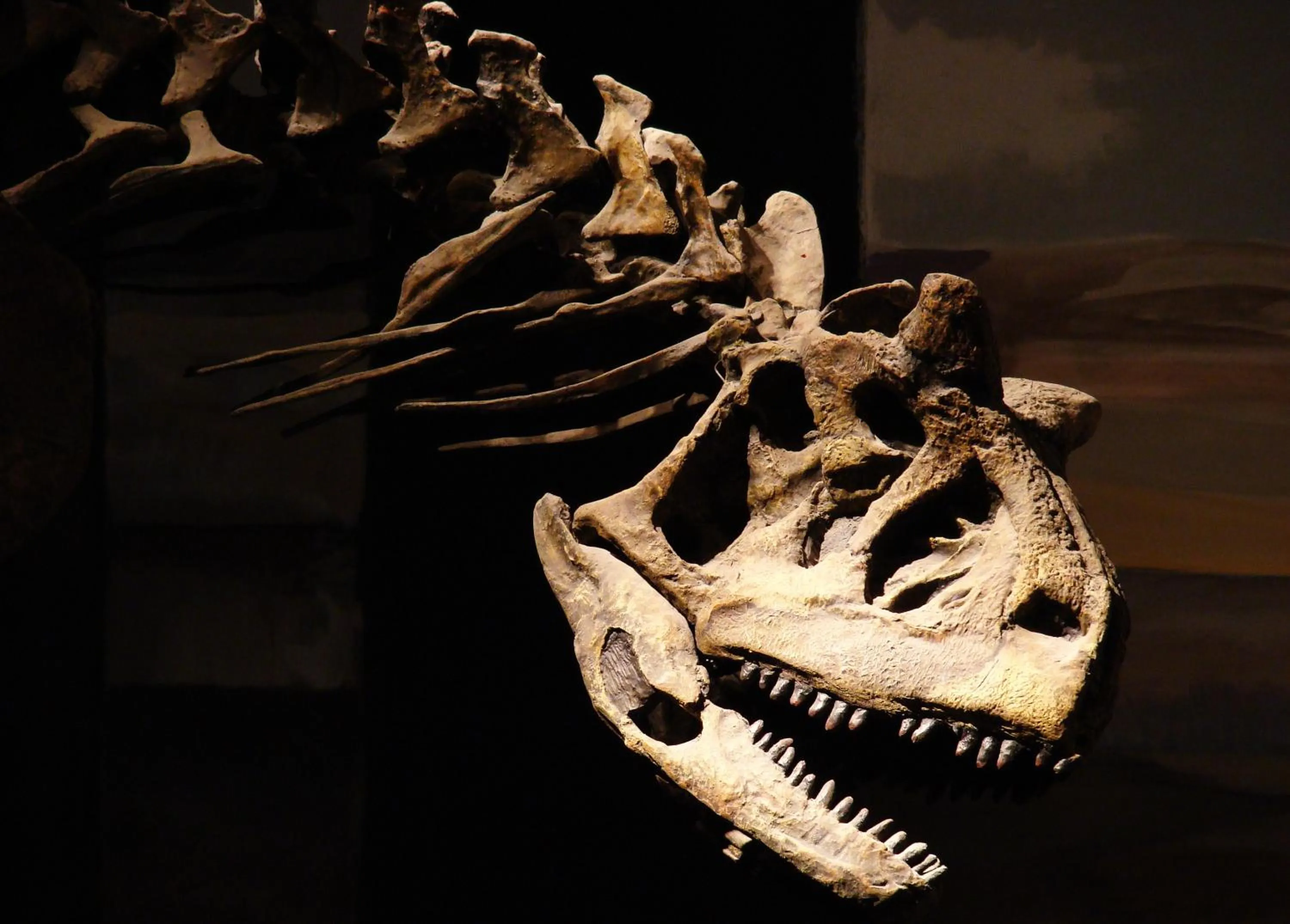 Nearby landmark in Cheltum Hotel