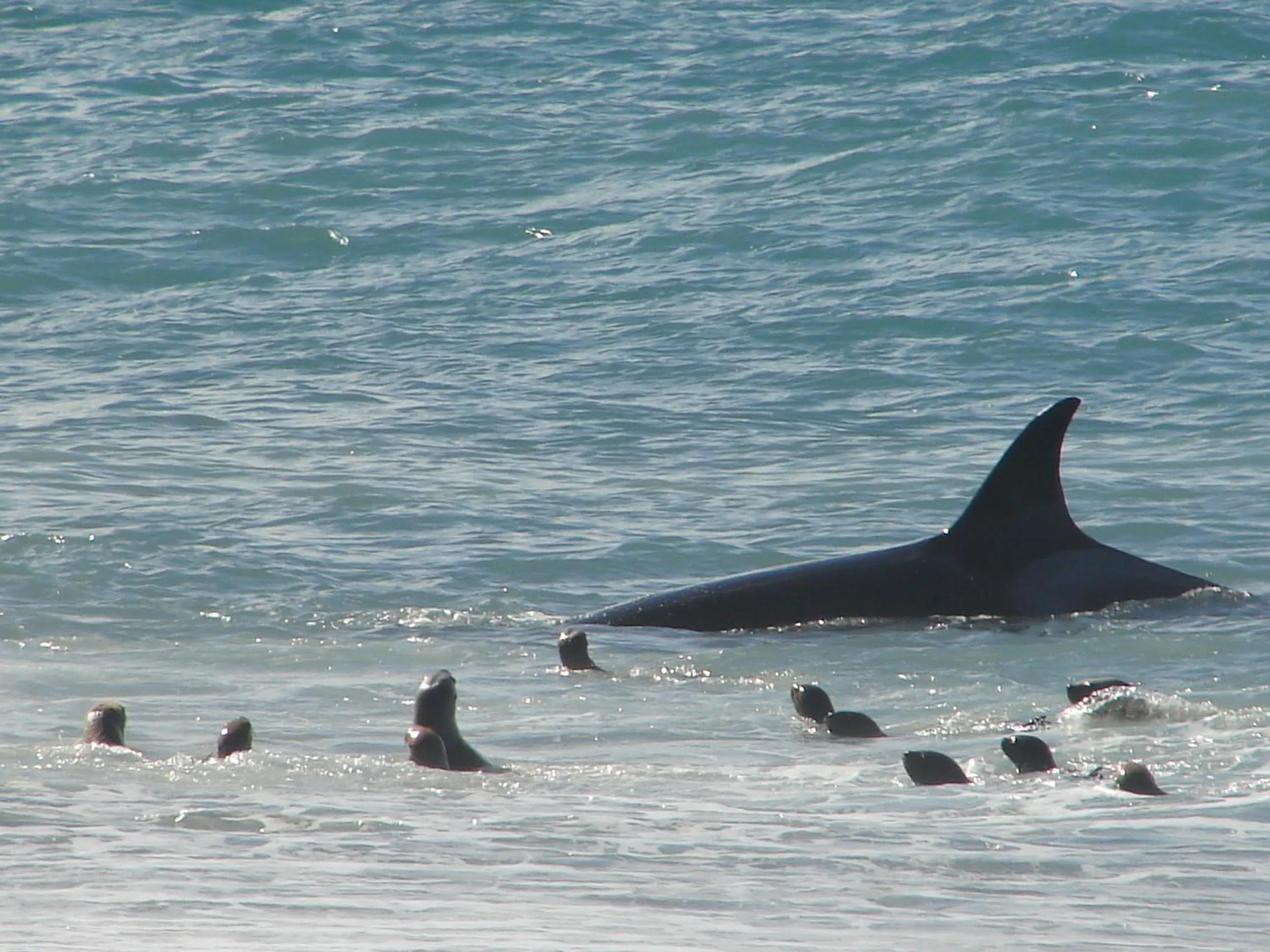 Natural landscape in Cheltum Hotel