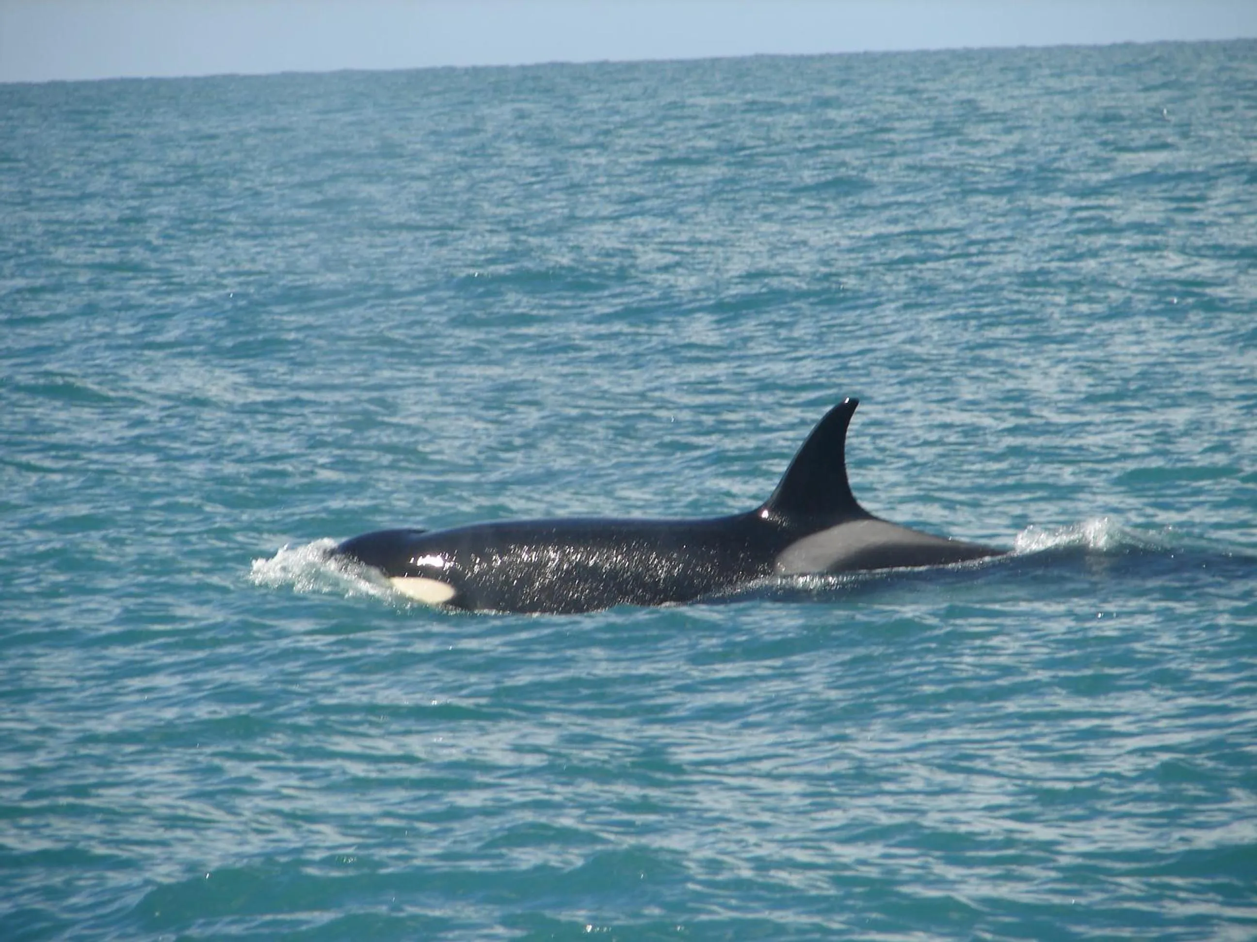 Natural landscape in Cheltum Hotel