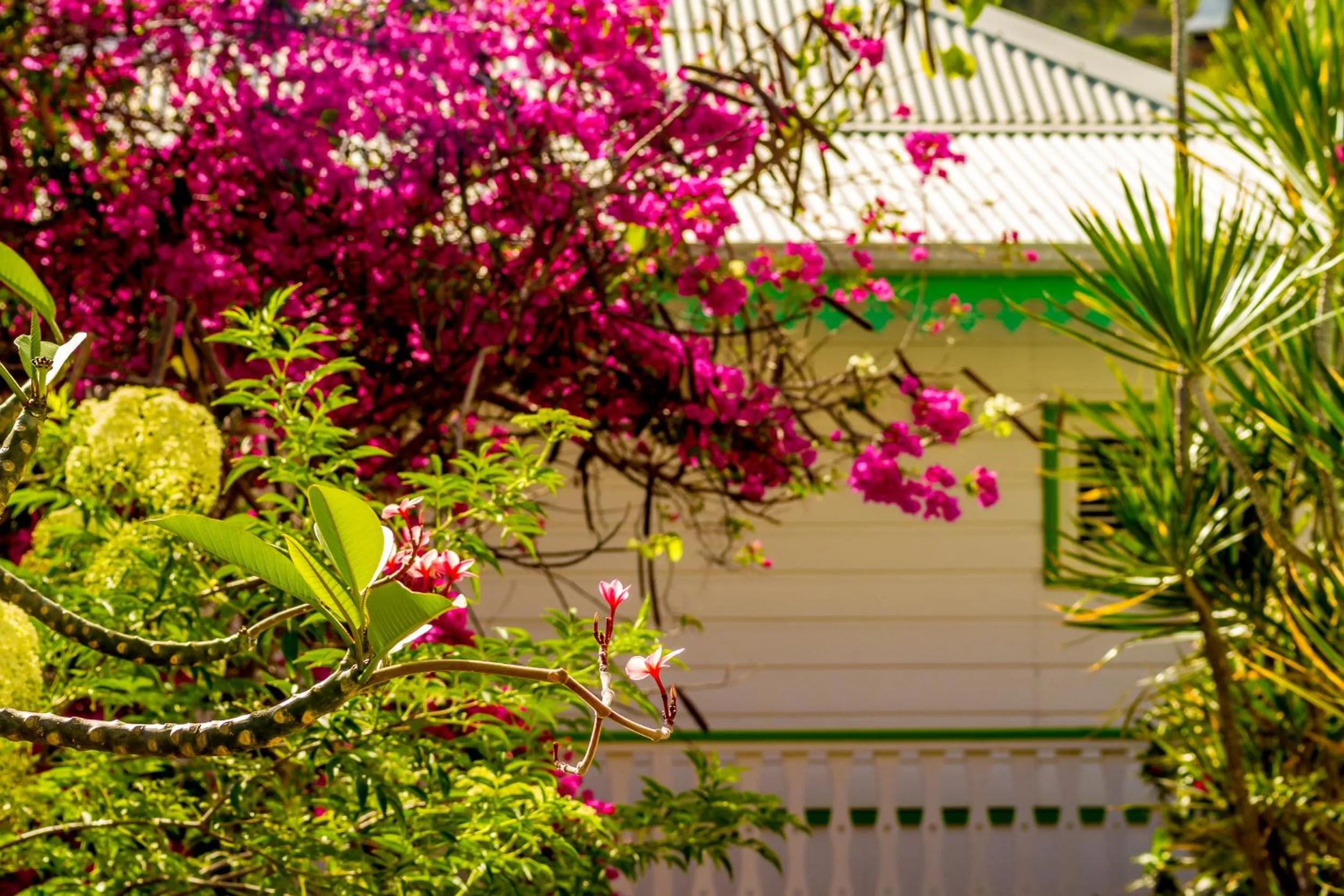 Garden in Hôtel Résidence Océane