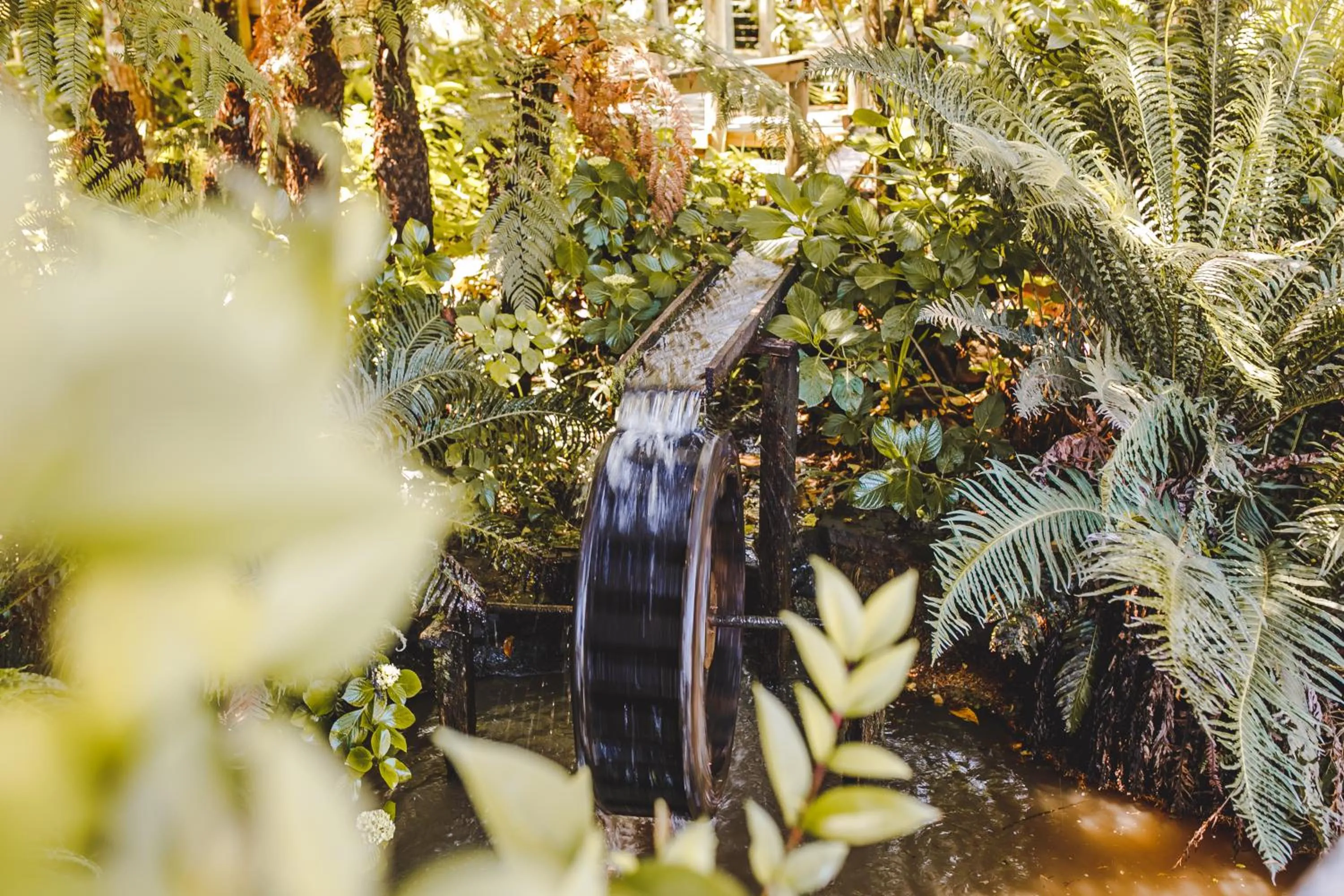 Serra Bela Eco Pousada