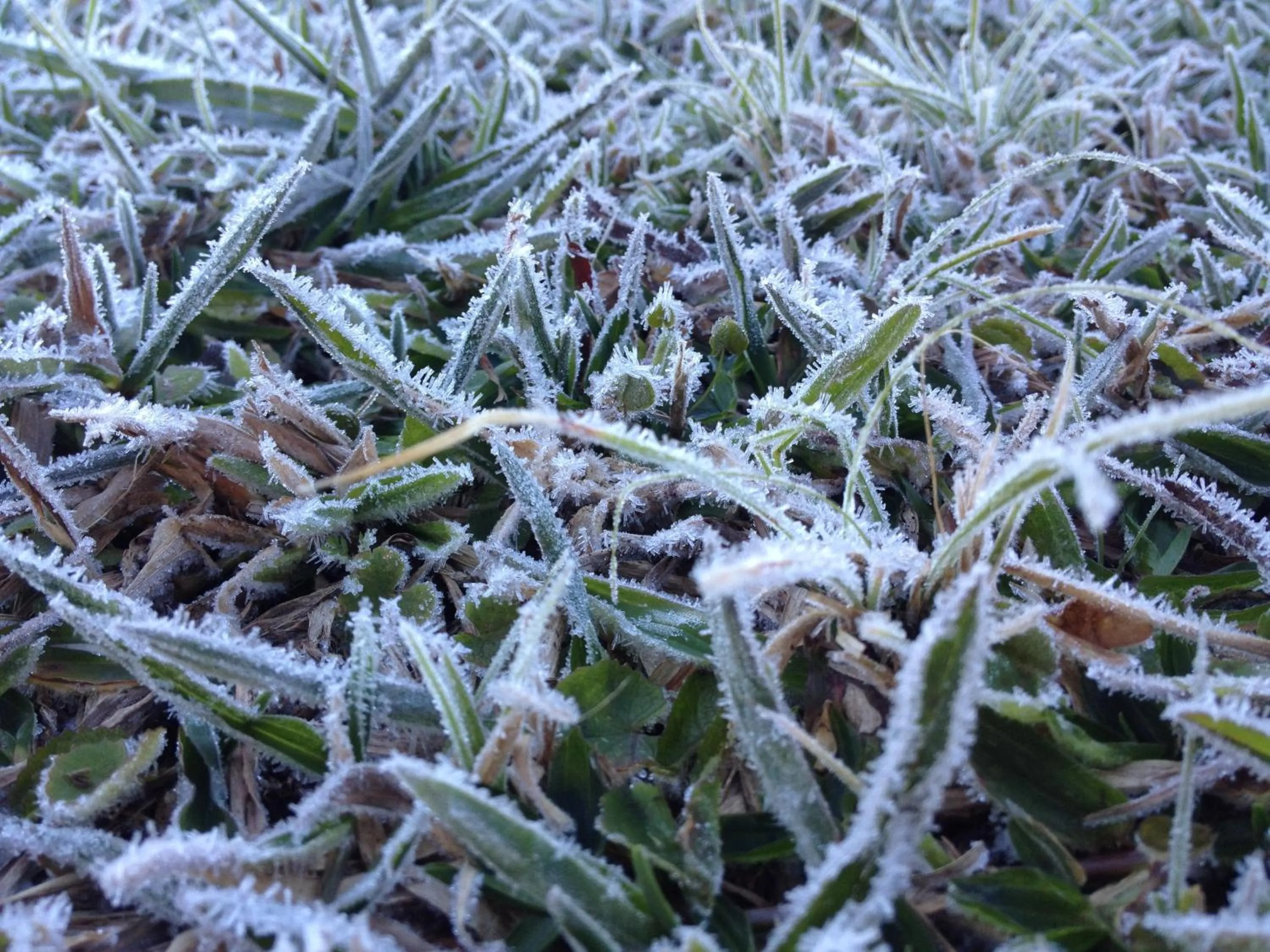 Day in Serra Bela Eco Pousada