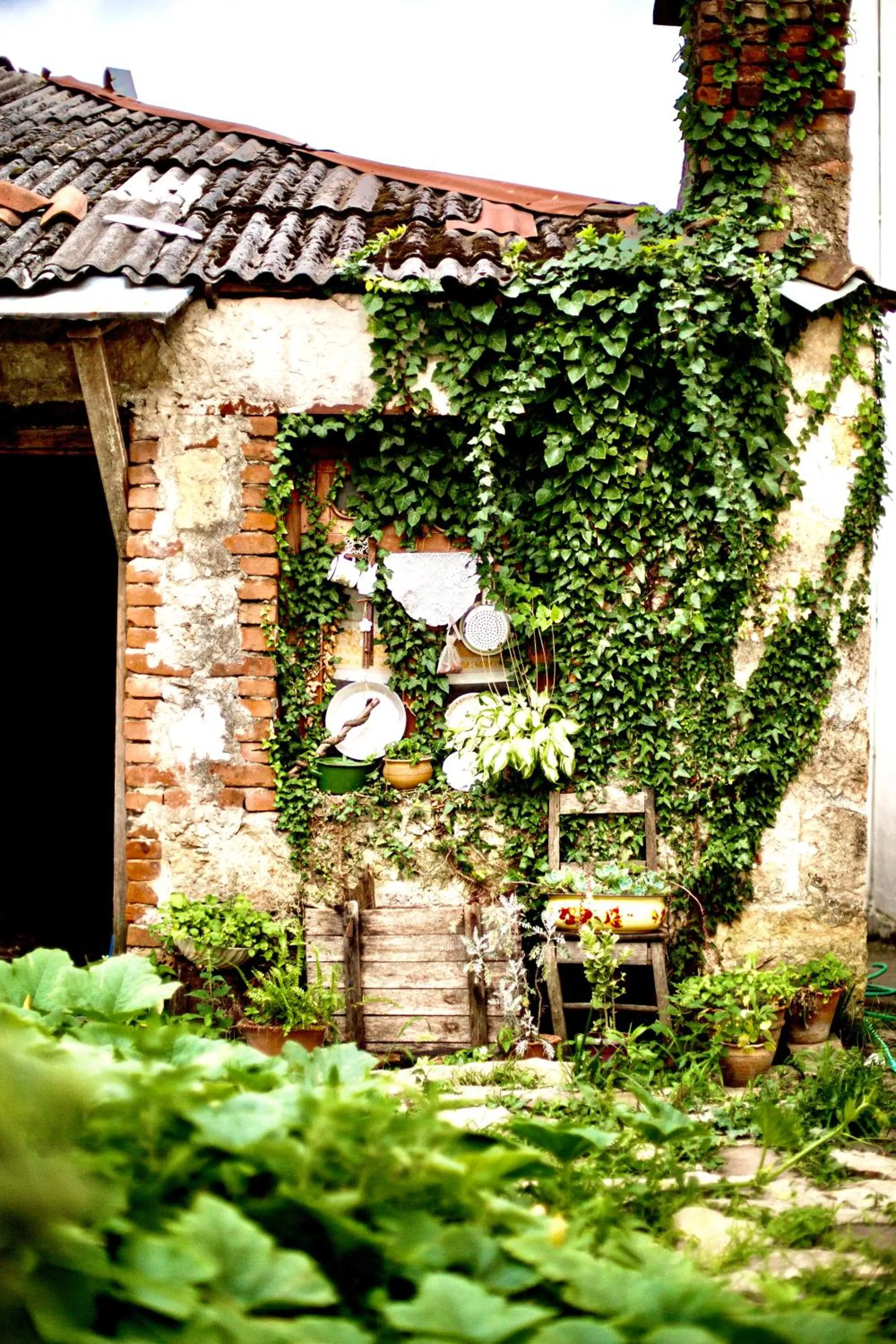 Inner courtyard view in Hotel History