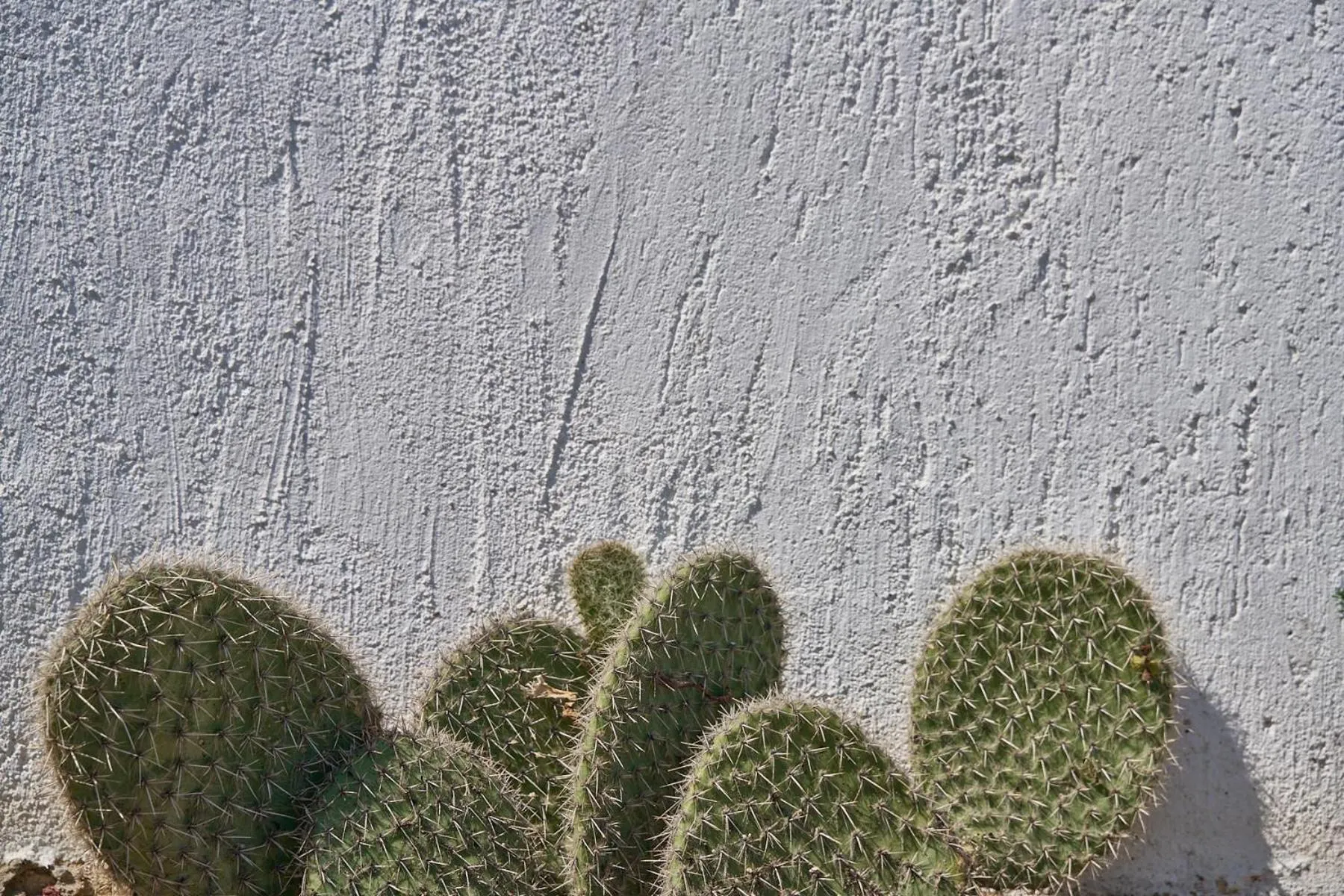 Day in Topos Exclusive Santorini