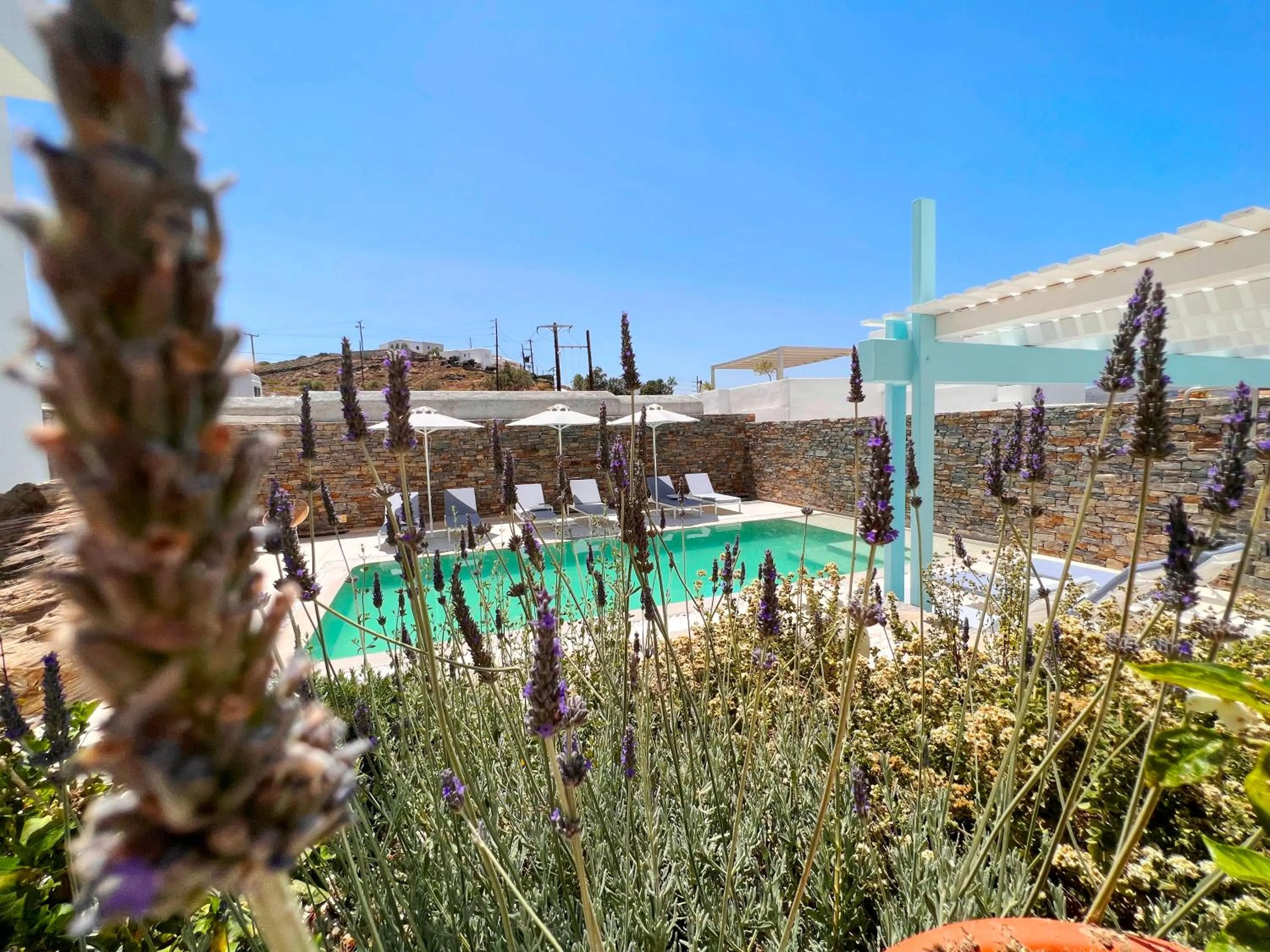 Garden in Anthos Apartments