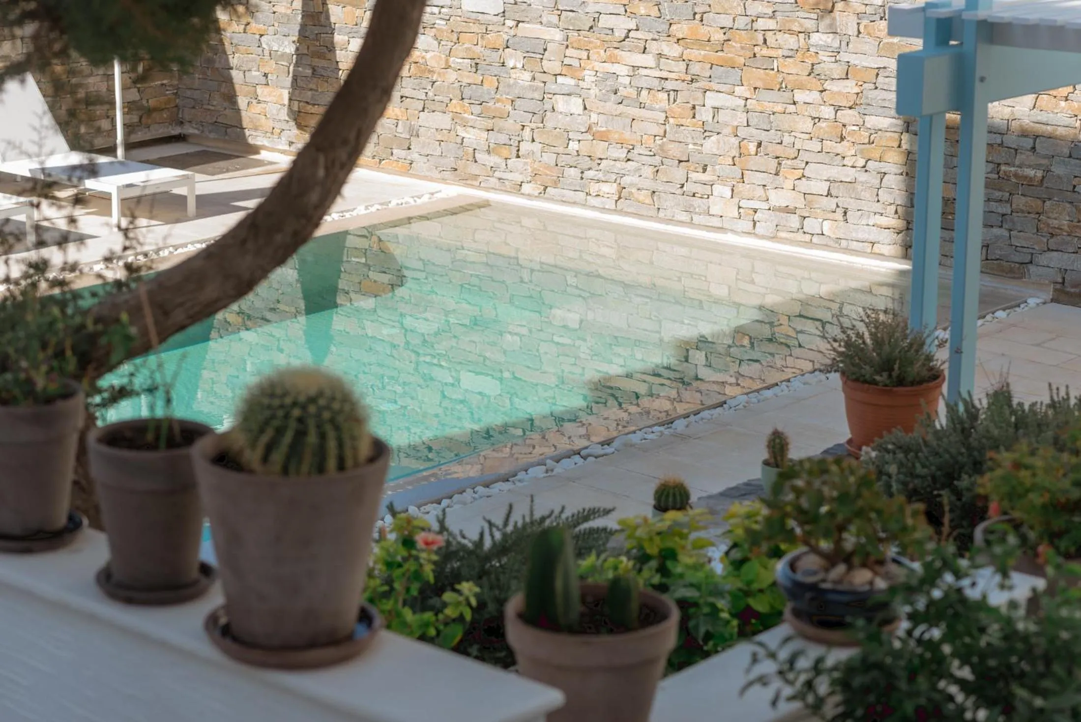 Swimming pool in Anthos Apartments