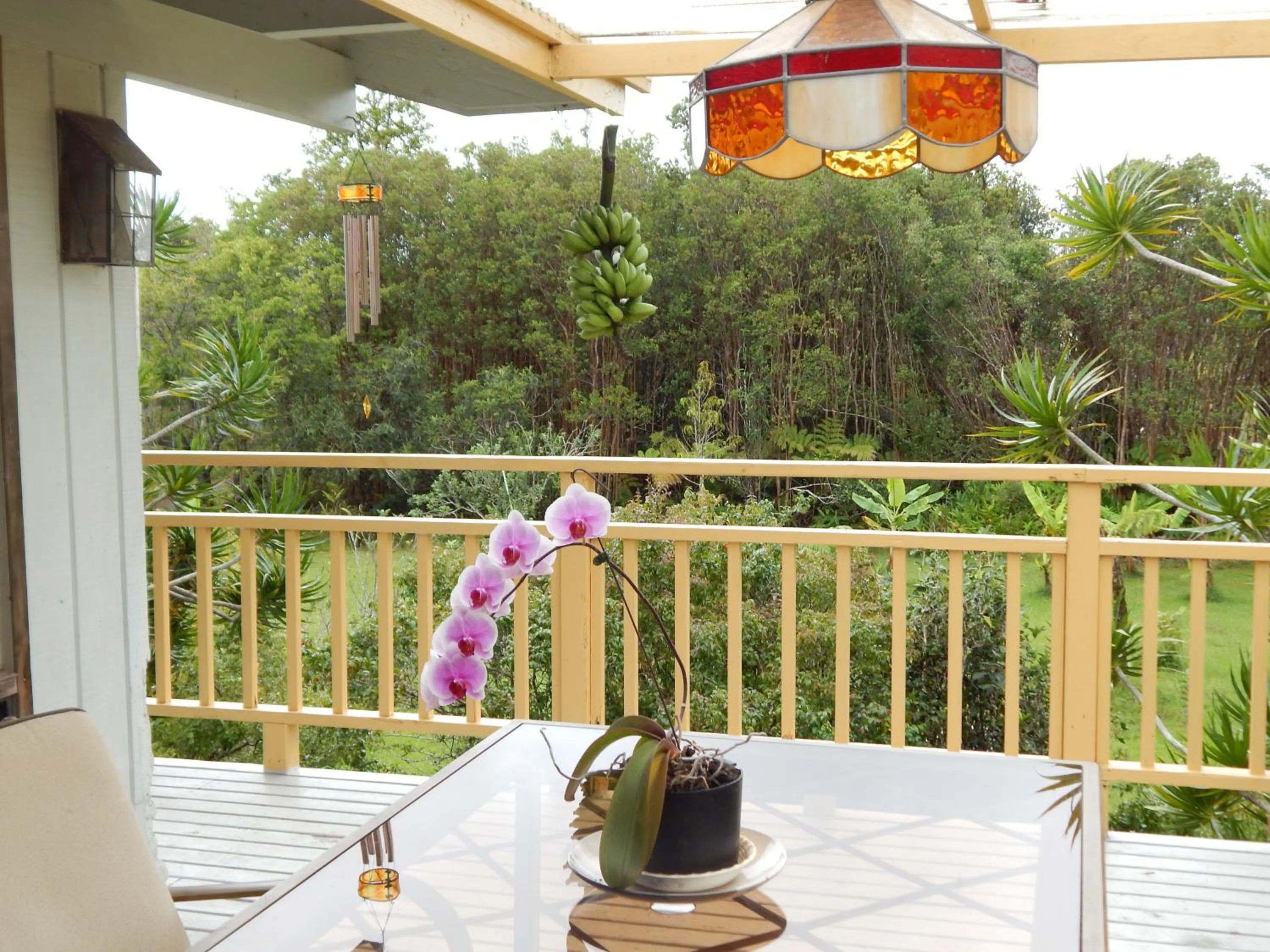 Patio in Fern Forest Getaway
