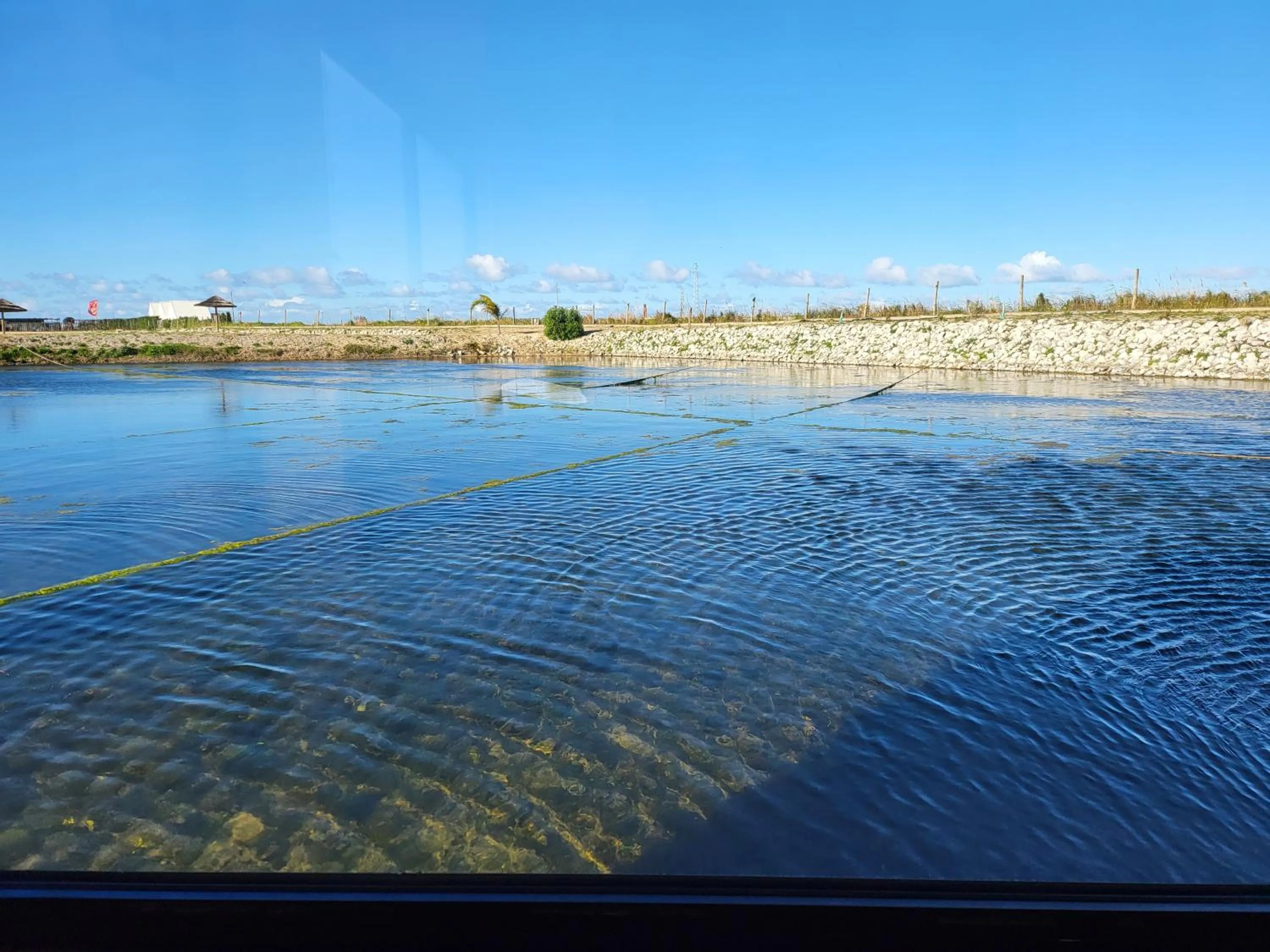 View (from property/room) in Barcos Casa Aveiro