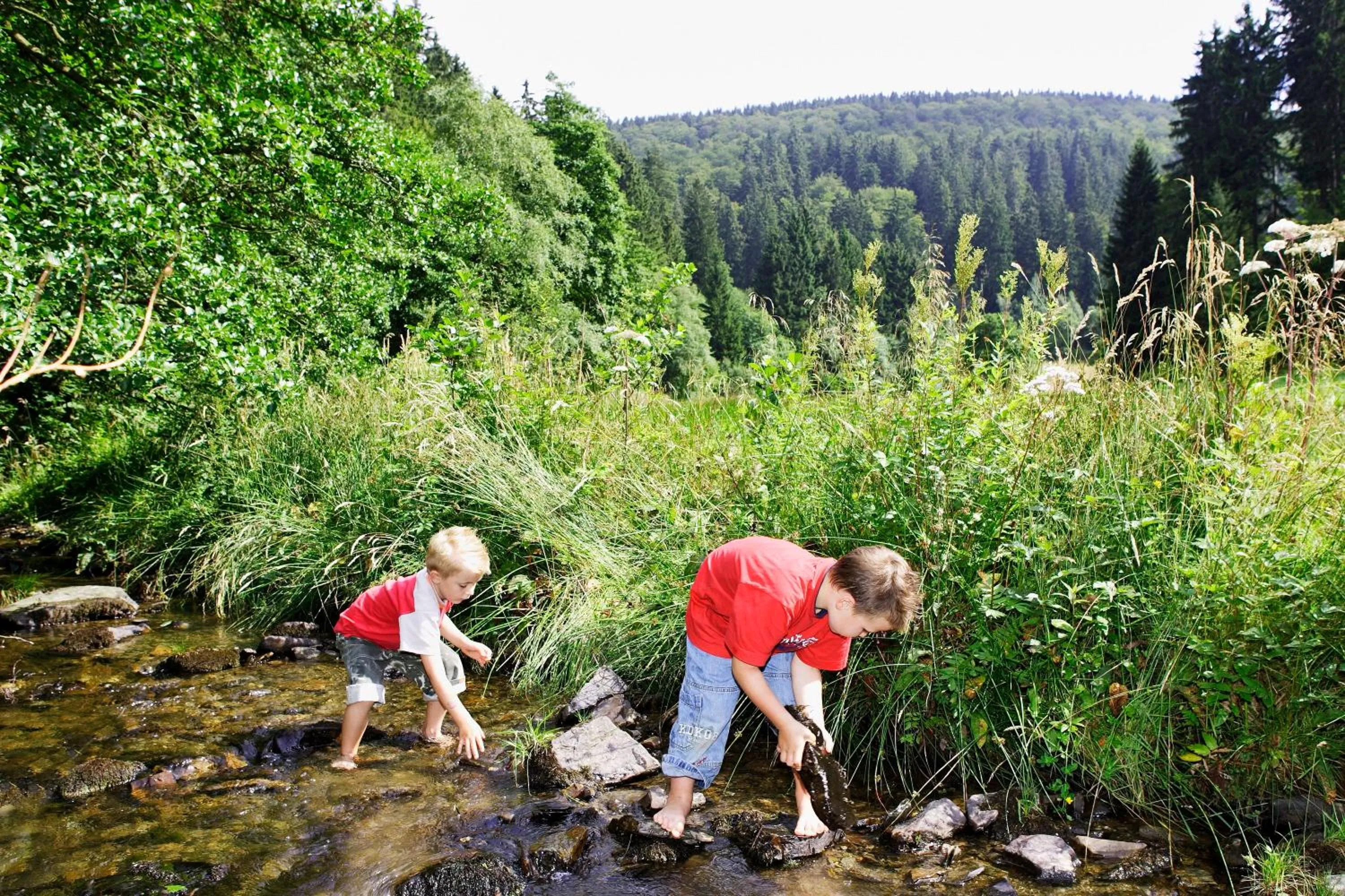Area and facilities in Sonnenhof-Willingen