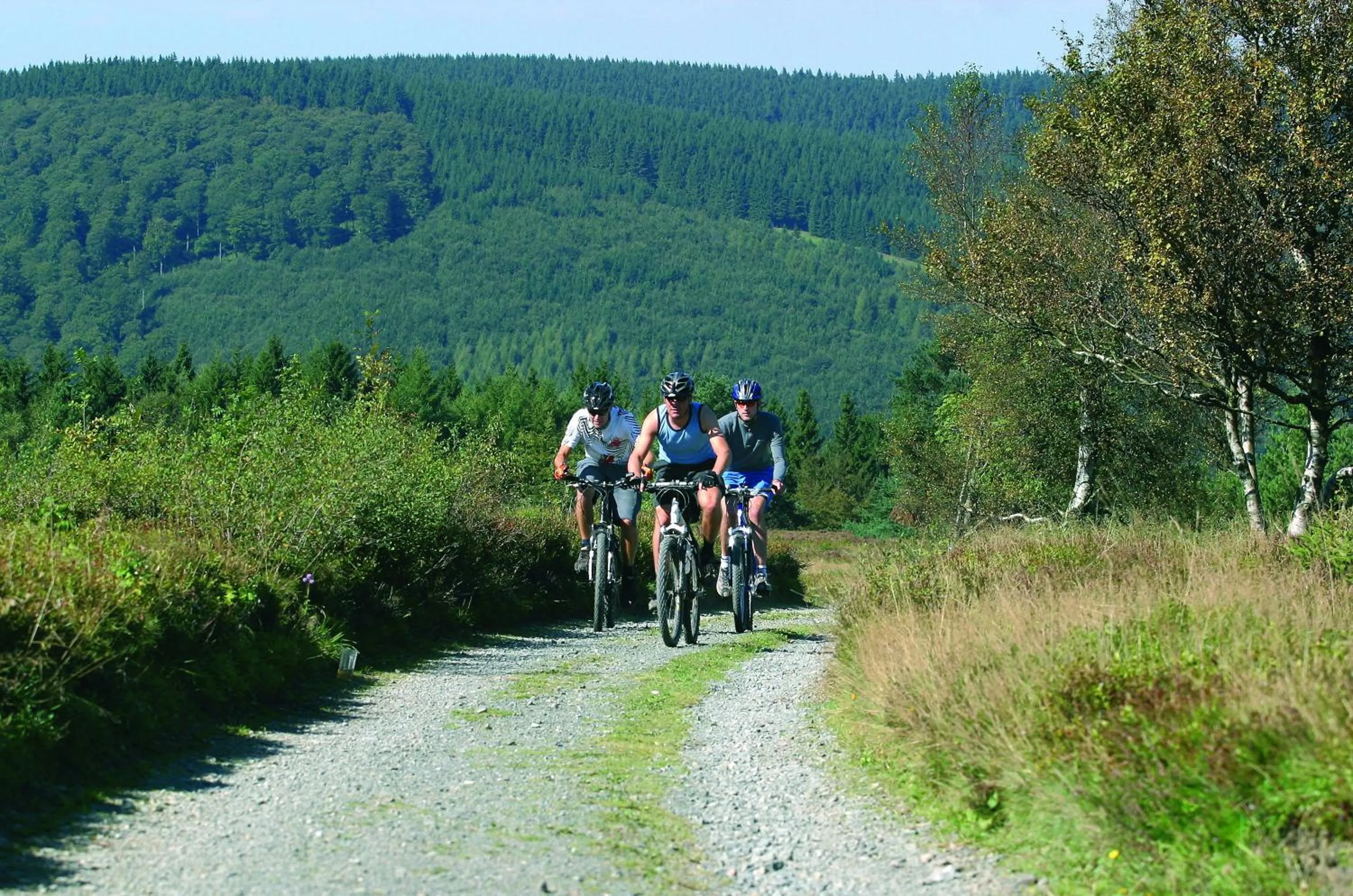 Cycling in Sonnenhof-Willingen