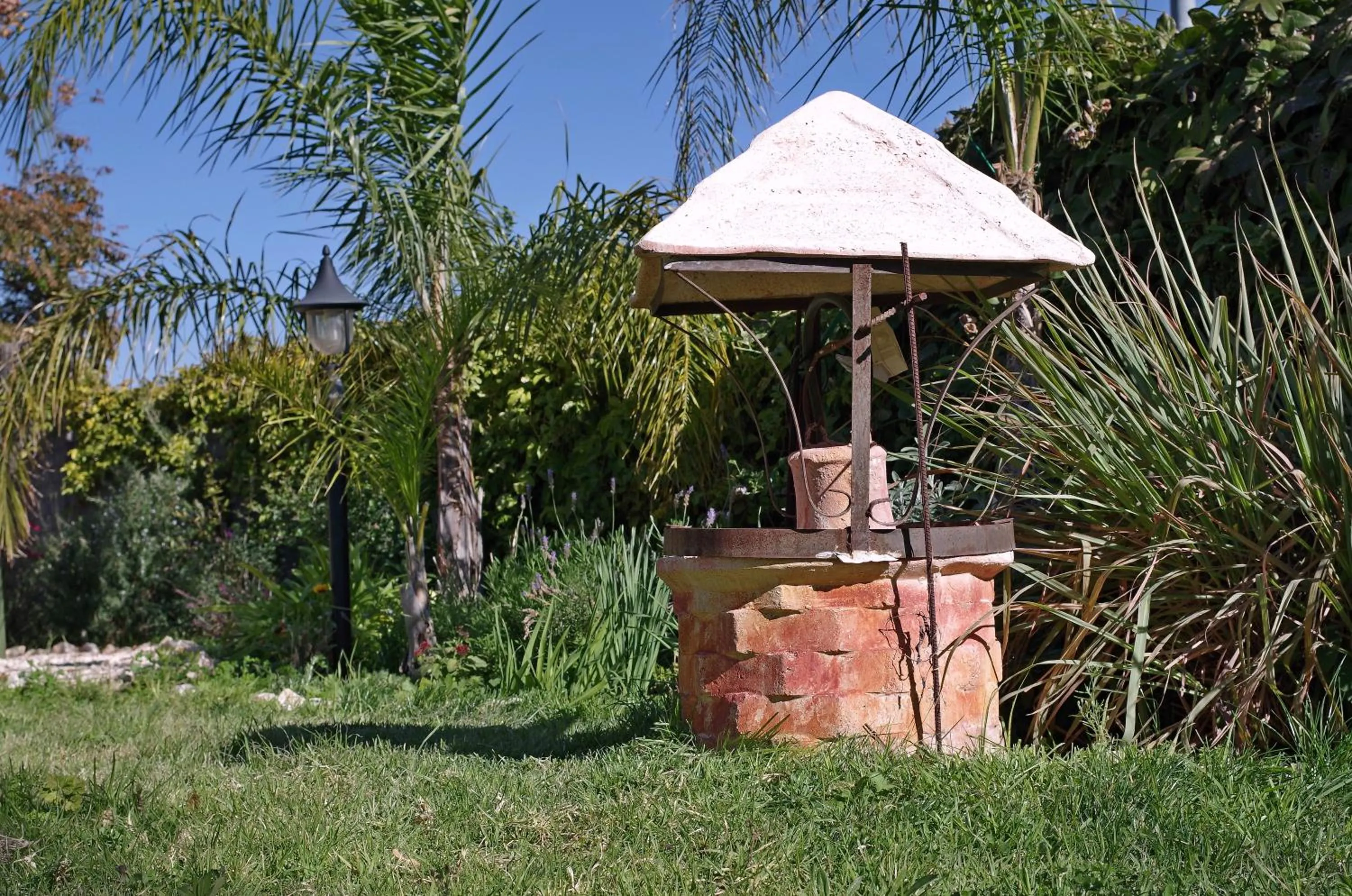 Garden in Miki's Rosh Pinna