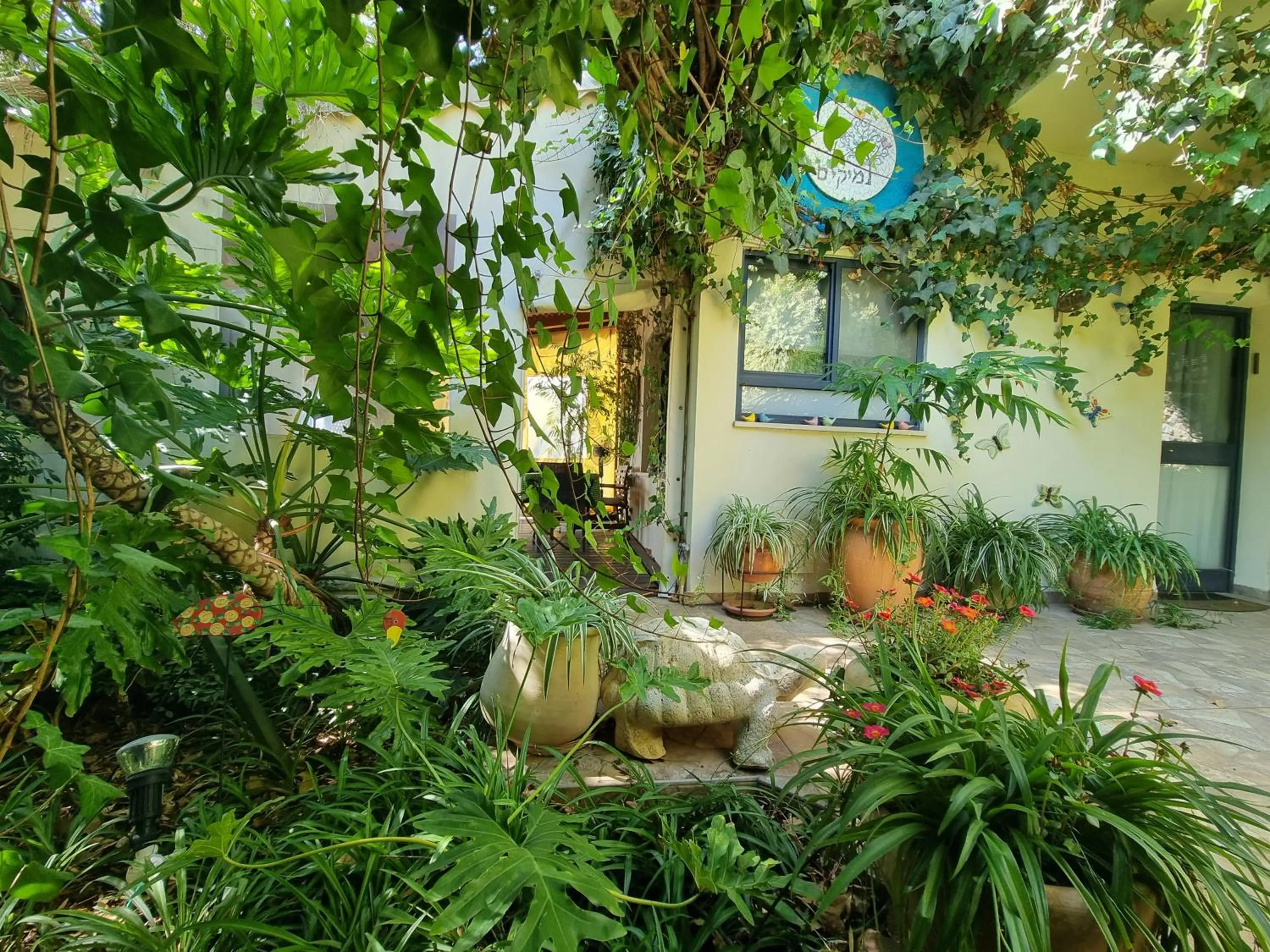 Property Building in Miki's Rosh Pinna