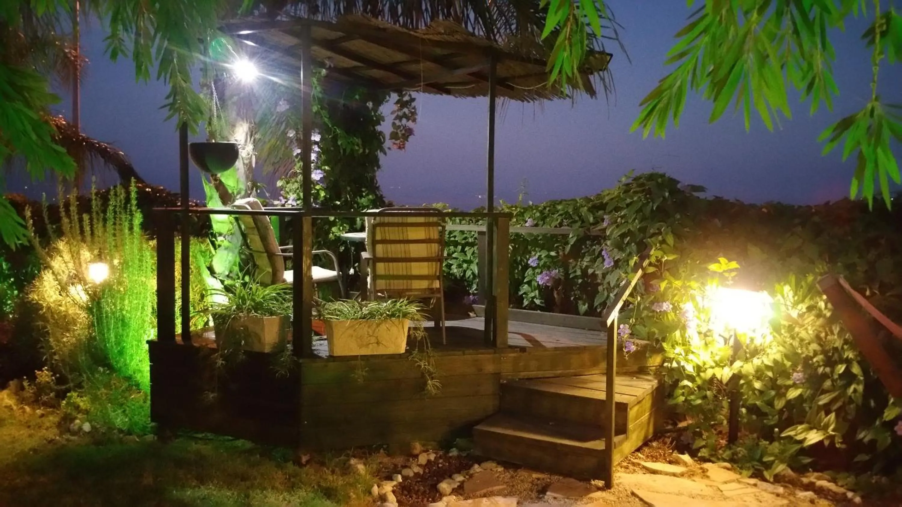 Garden in Miki's Rosh Pinna