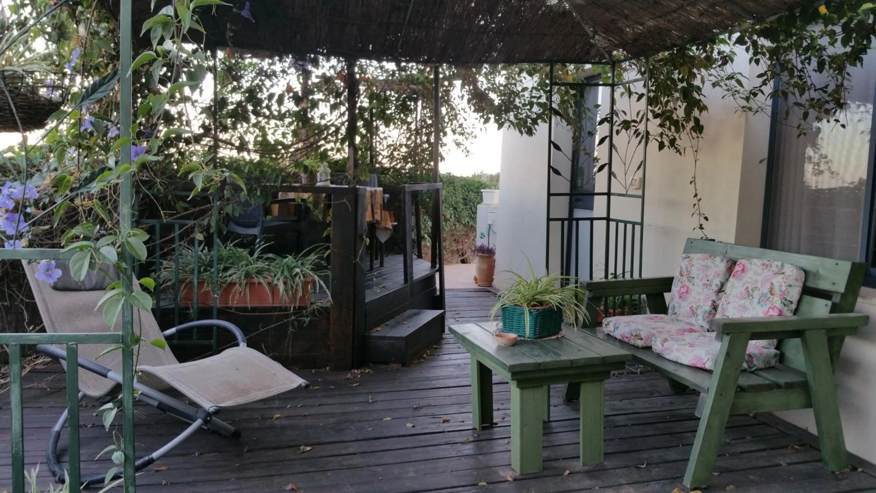 Garden in Miki's Rosh Pinna