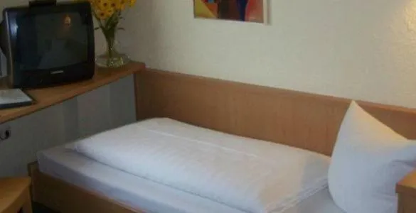 Bed in Hotel Goldener Karpfen
