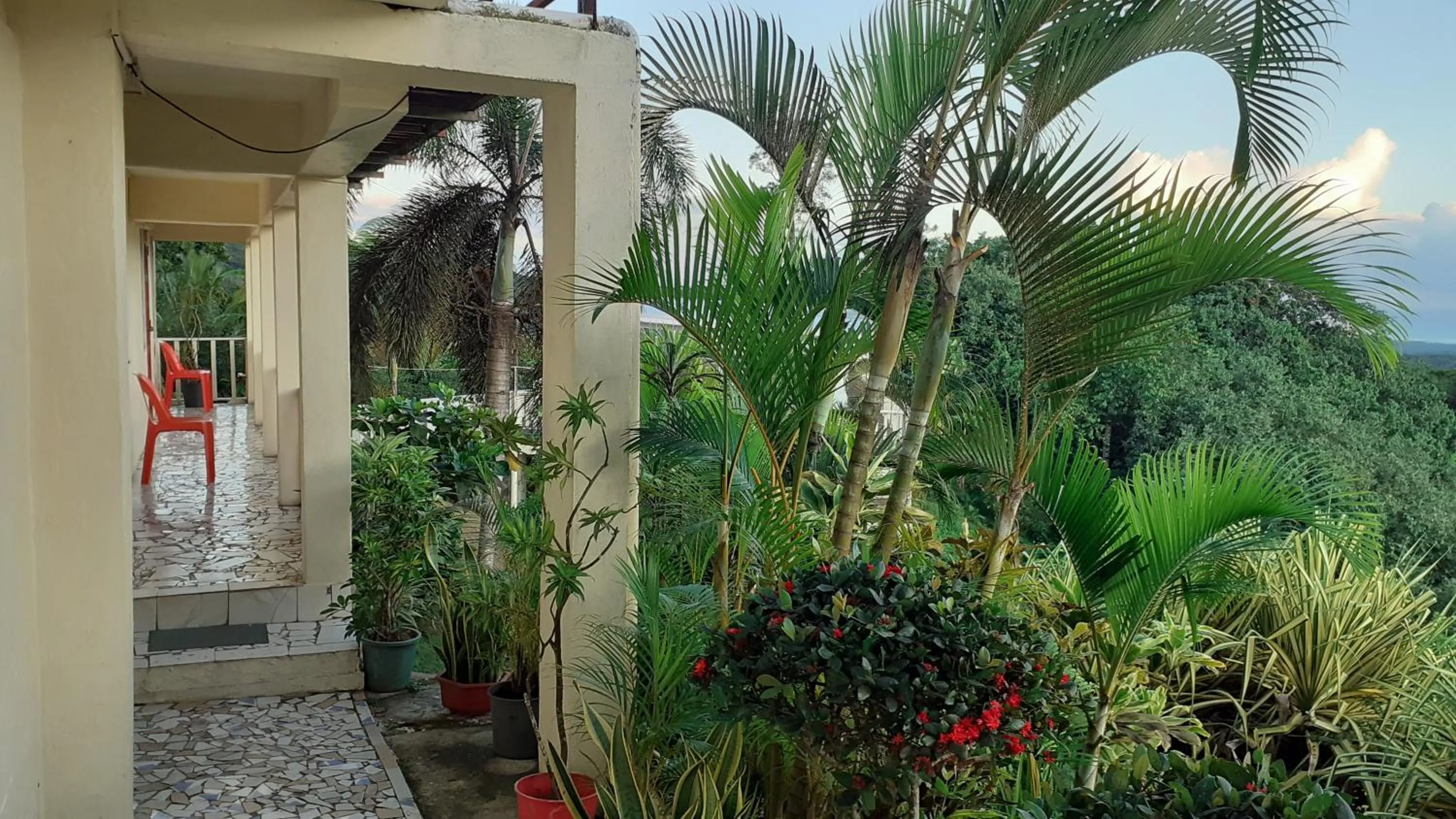 Natural landscape in Dave Parker Eco Lodge Hotel