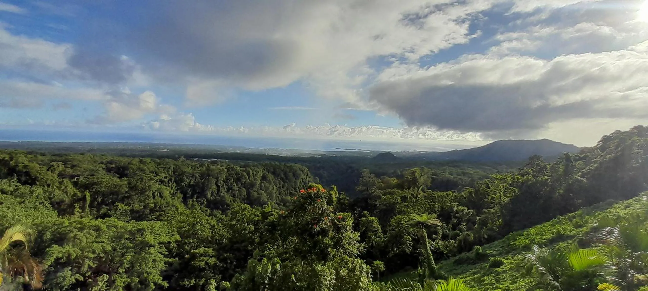 Natural landscape in Dave Parker Eco Lodge Hotel