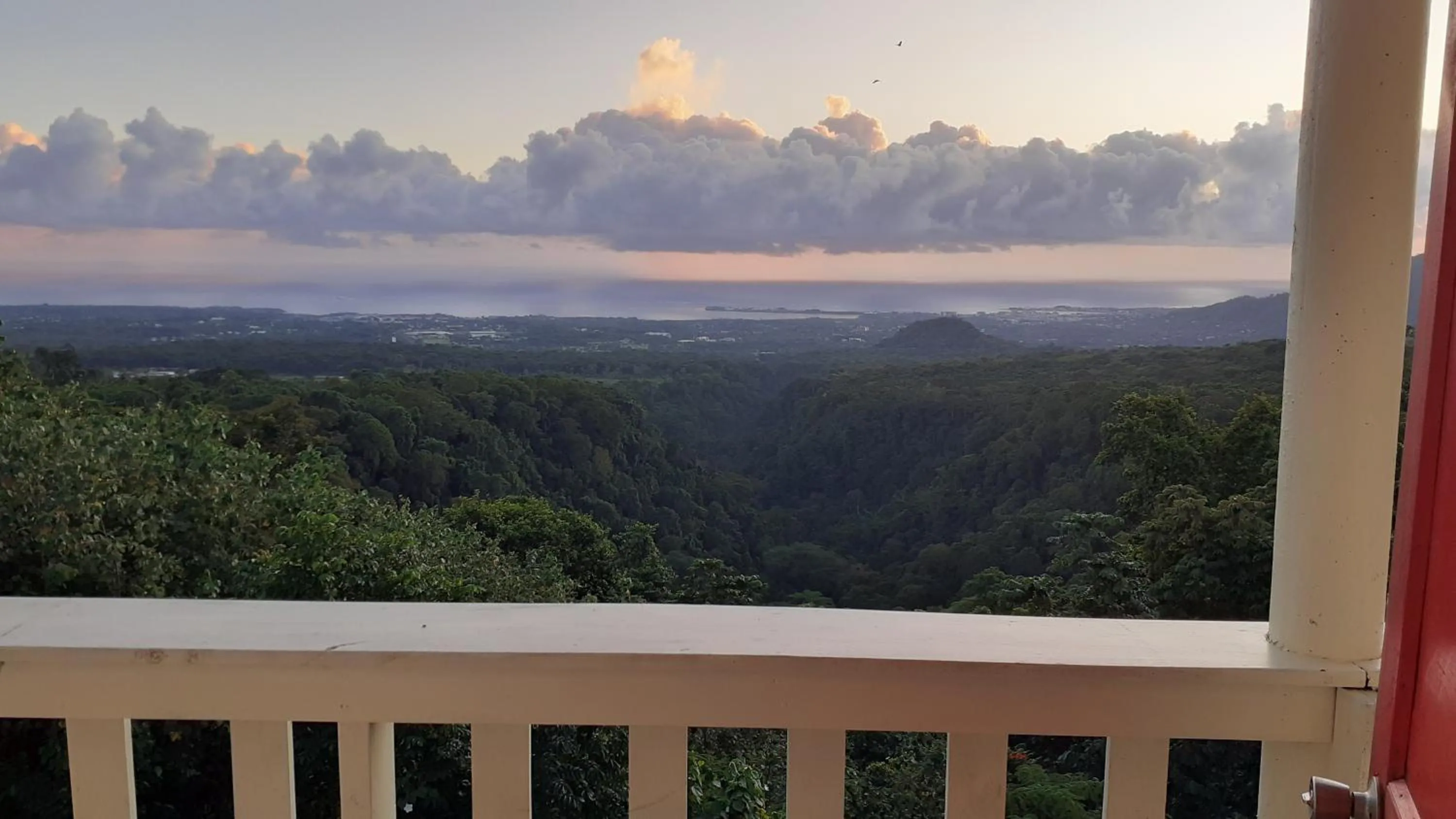 Natural landscape in Dave Parker Eco Lodge Hotel