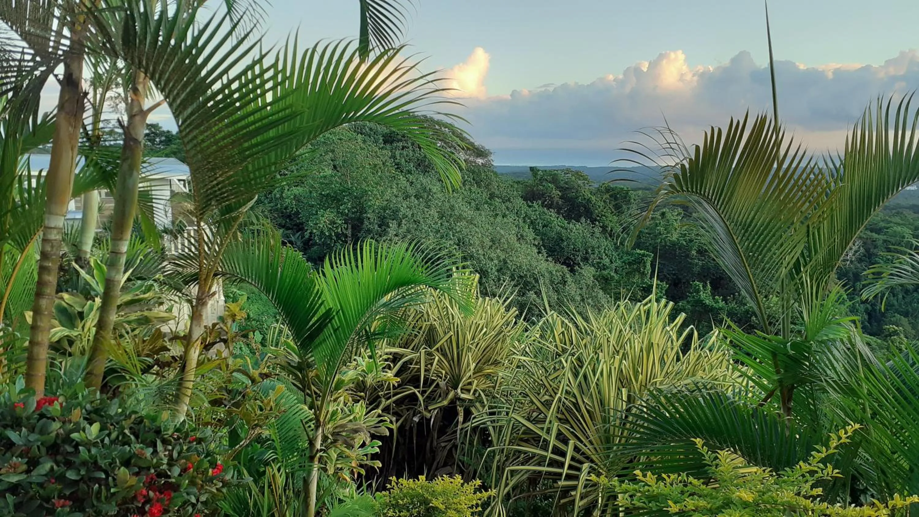 Natural landscape in Dave Parker Eco Lodge Hotel