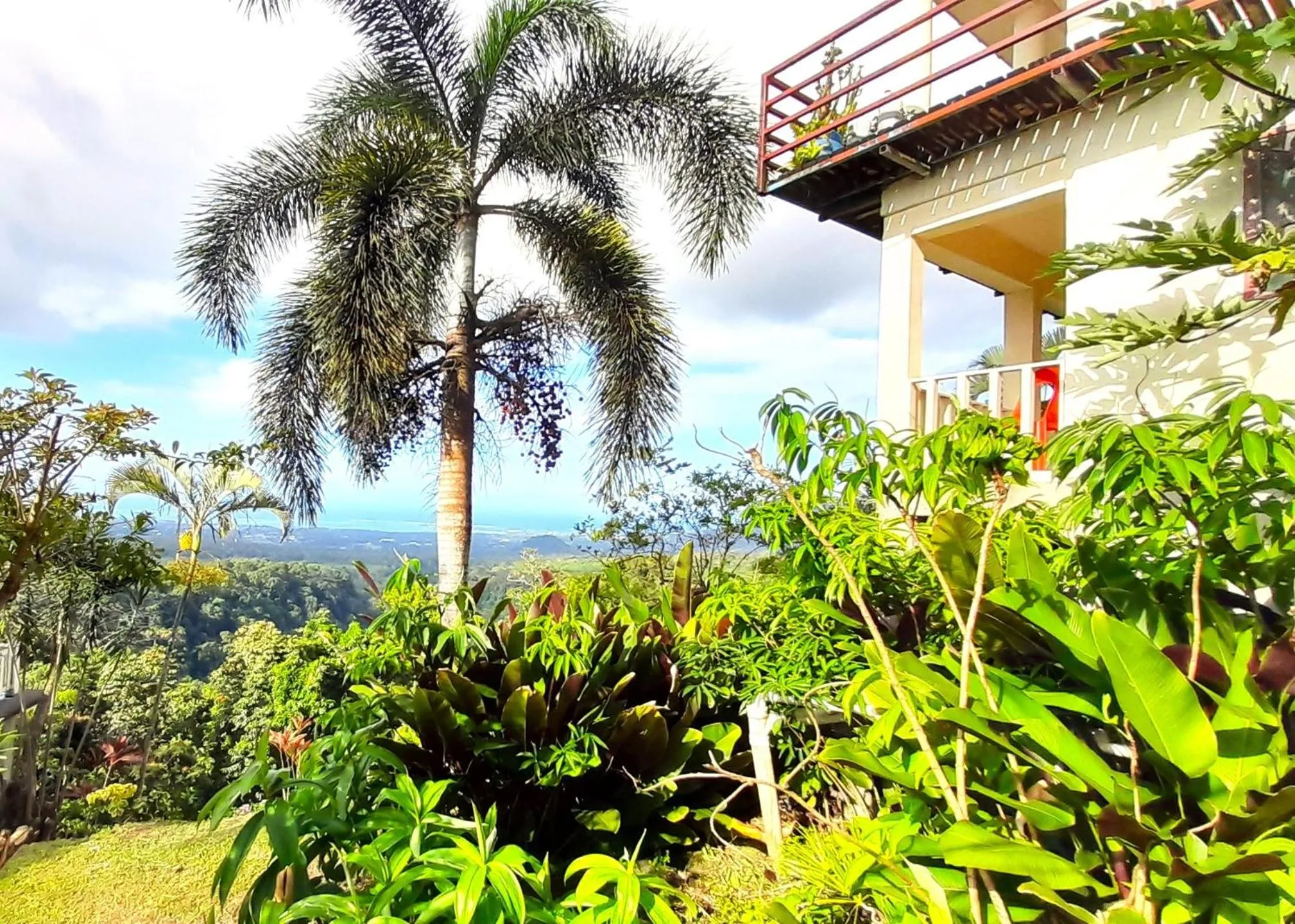 Natural landscape in Dave Parker Eco Lodge Hotel