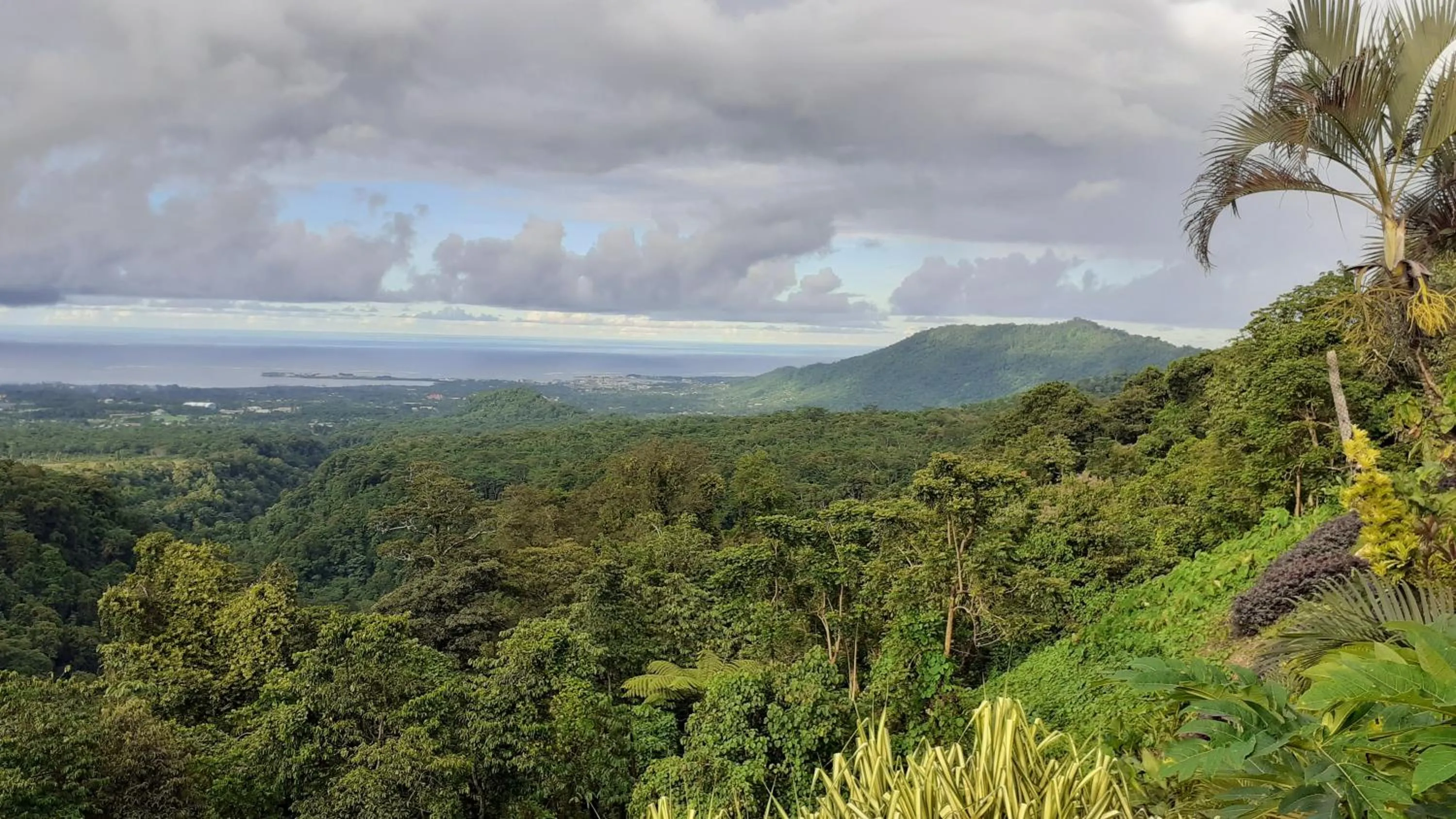 Natural landscape in Dave Parker Eco Lodge Hotel