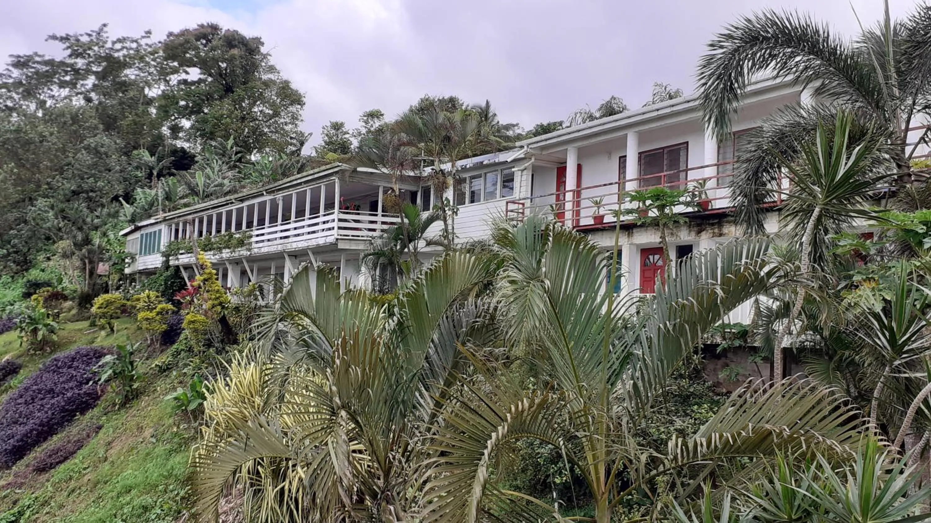 Property building in Dave Parker Eco Lodge Hotel