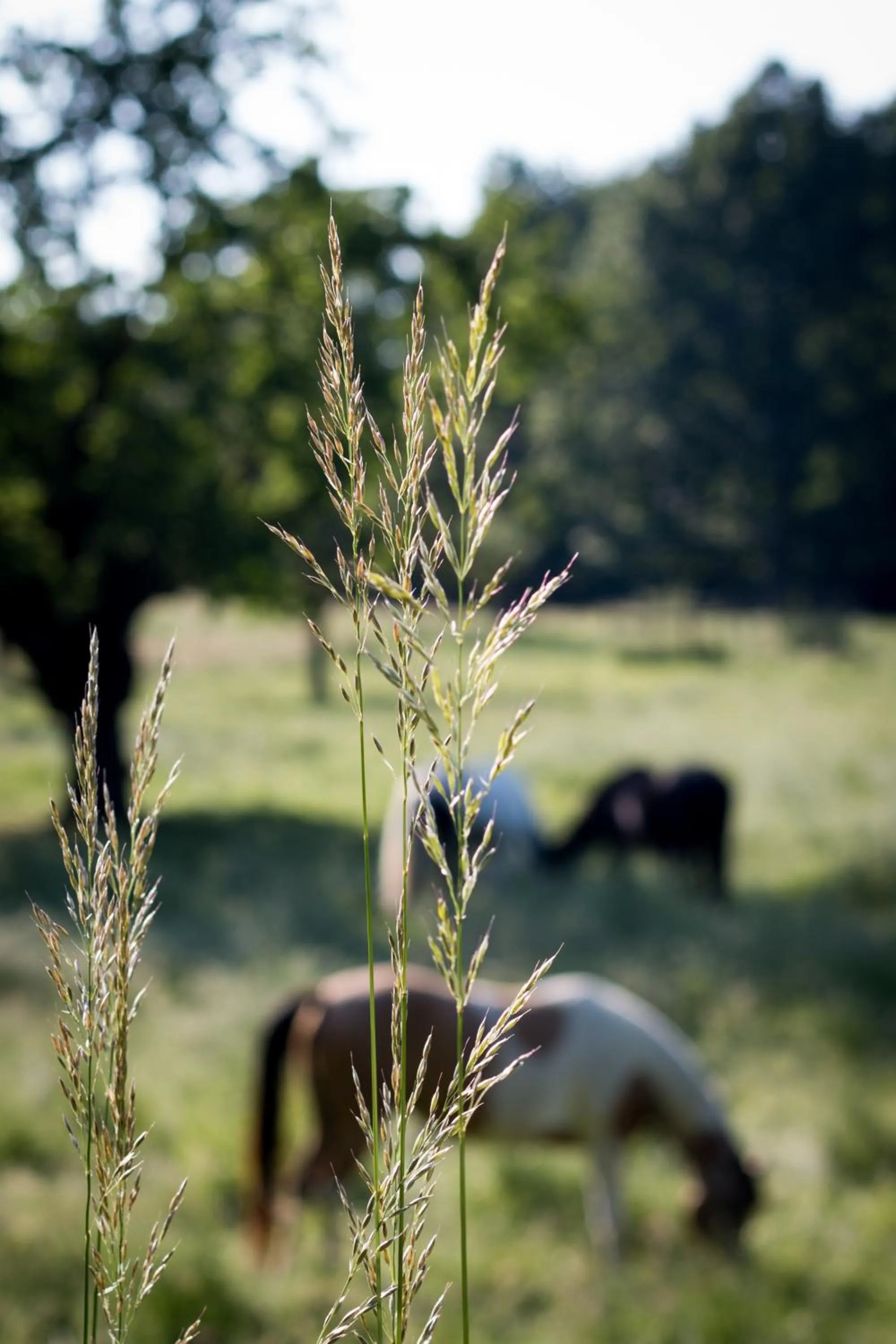 Property building in Hotel Bremerhof