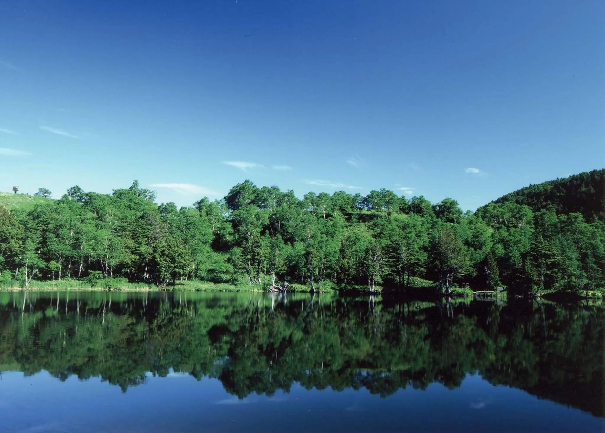 Day in Hotel Sanraku