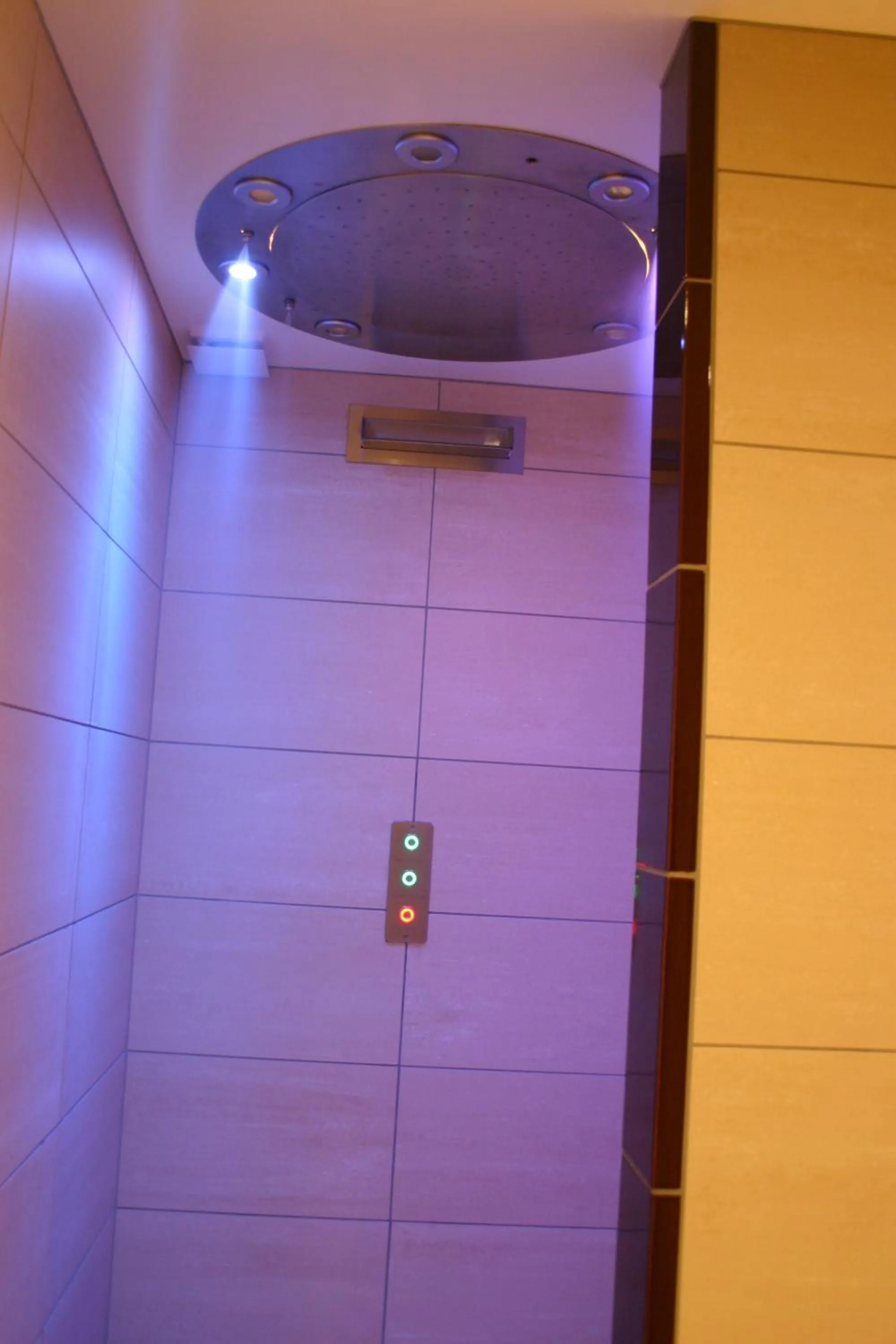 Spa and wellness centre/facilities in Eden-Hotel