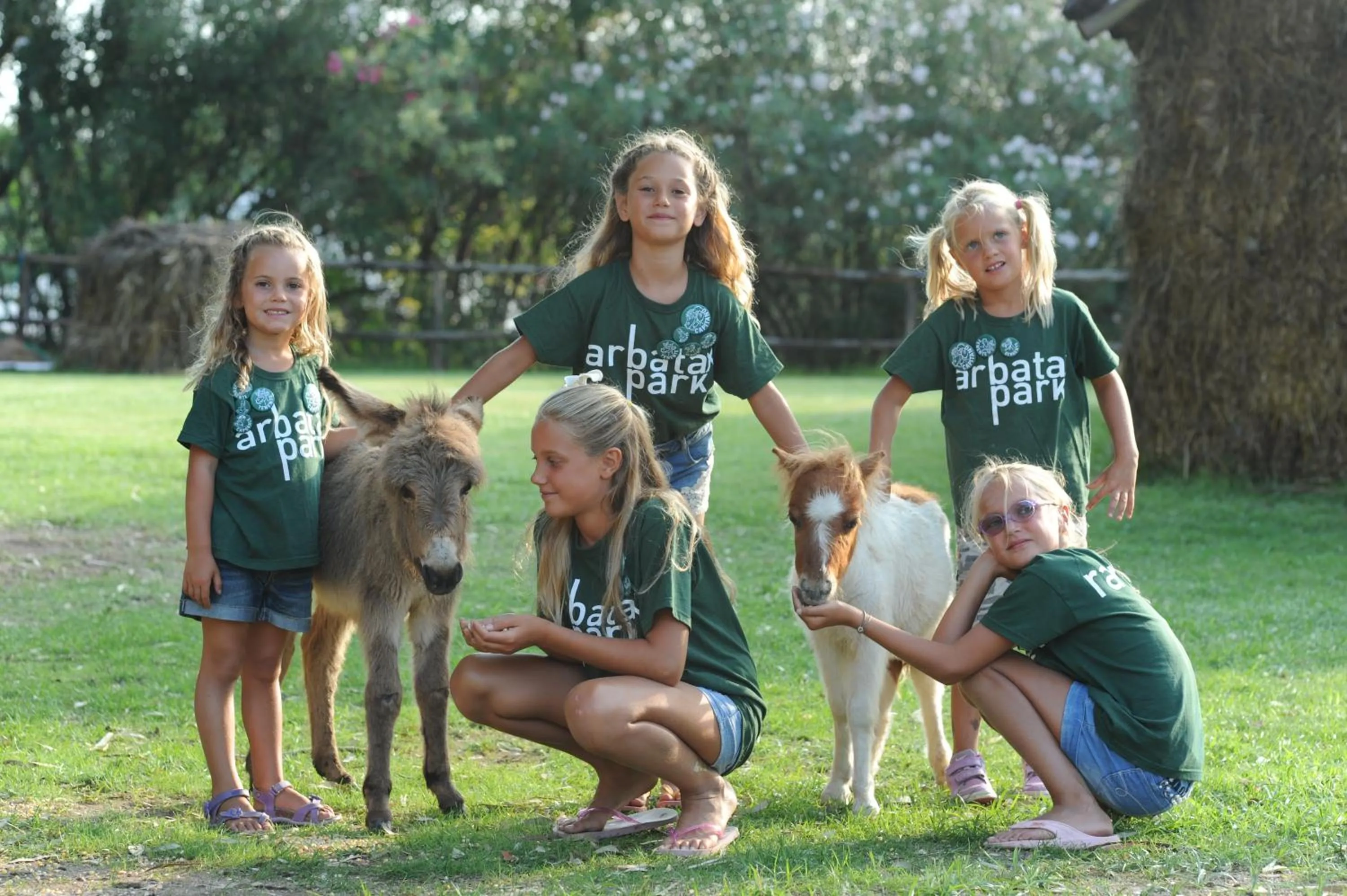 Activities in Arbatax Park Resort - Ville del Parco