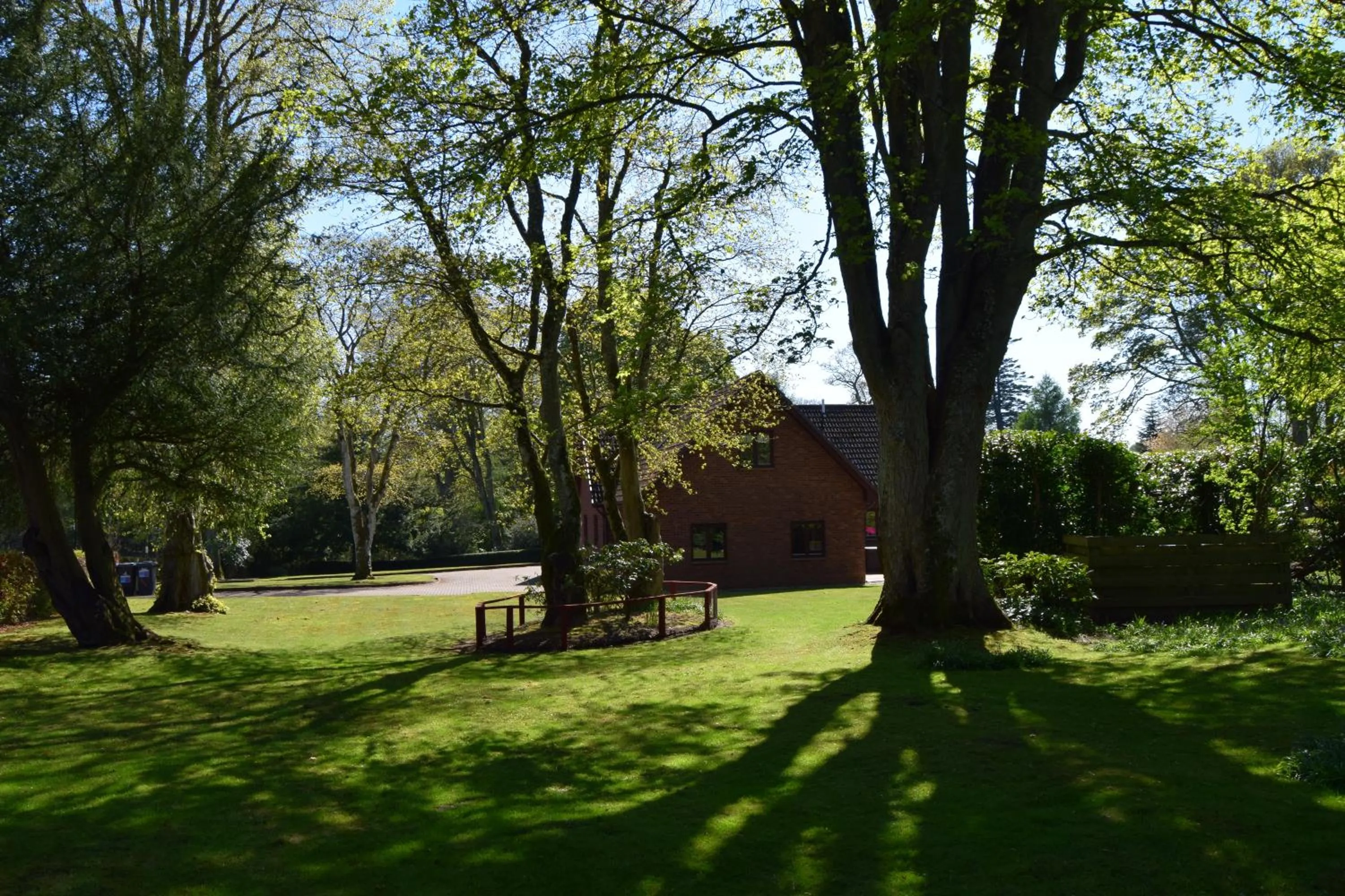 Garden in Auburn Cottage