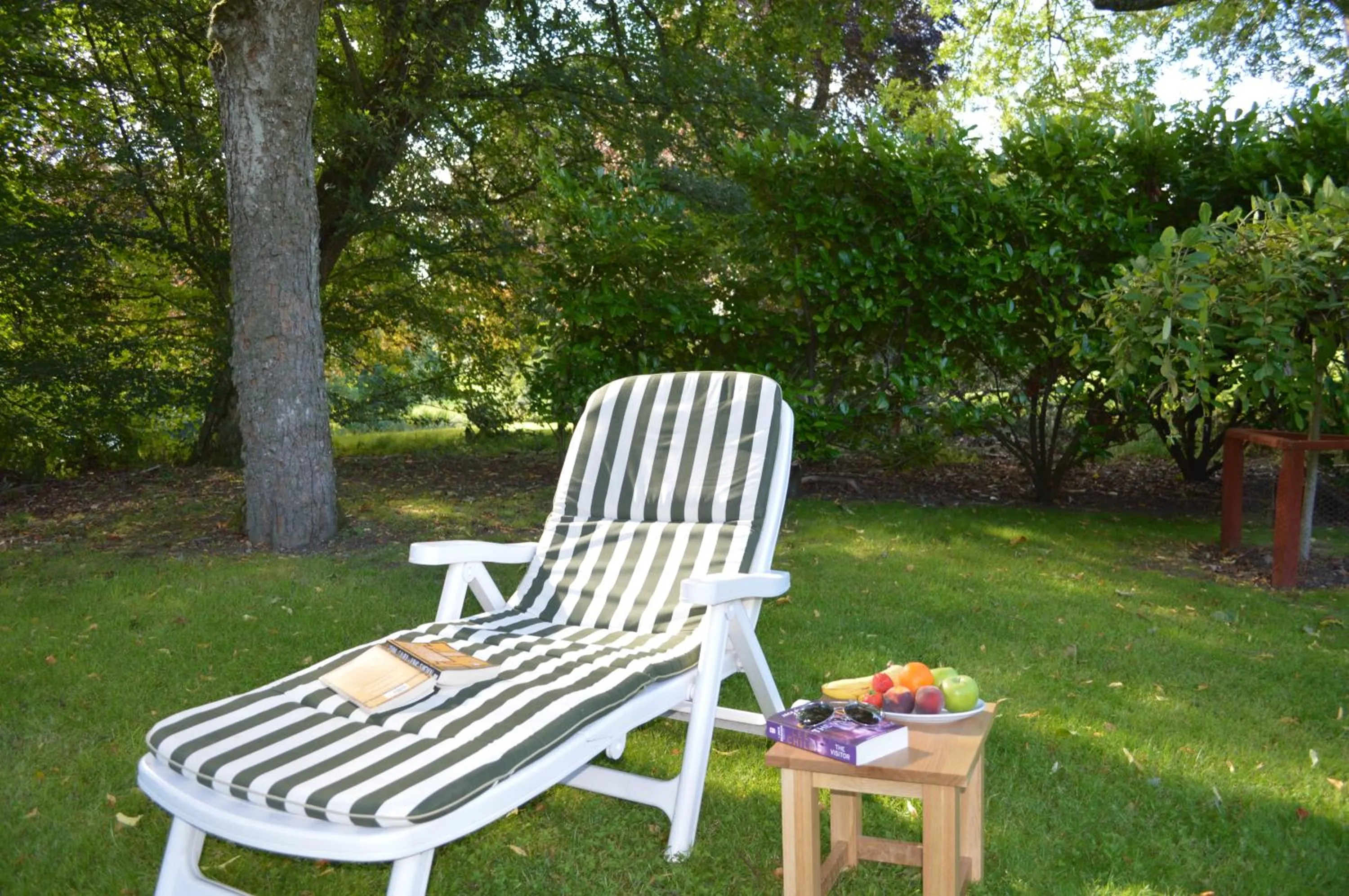 Garden in Auburn Cottage