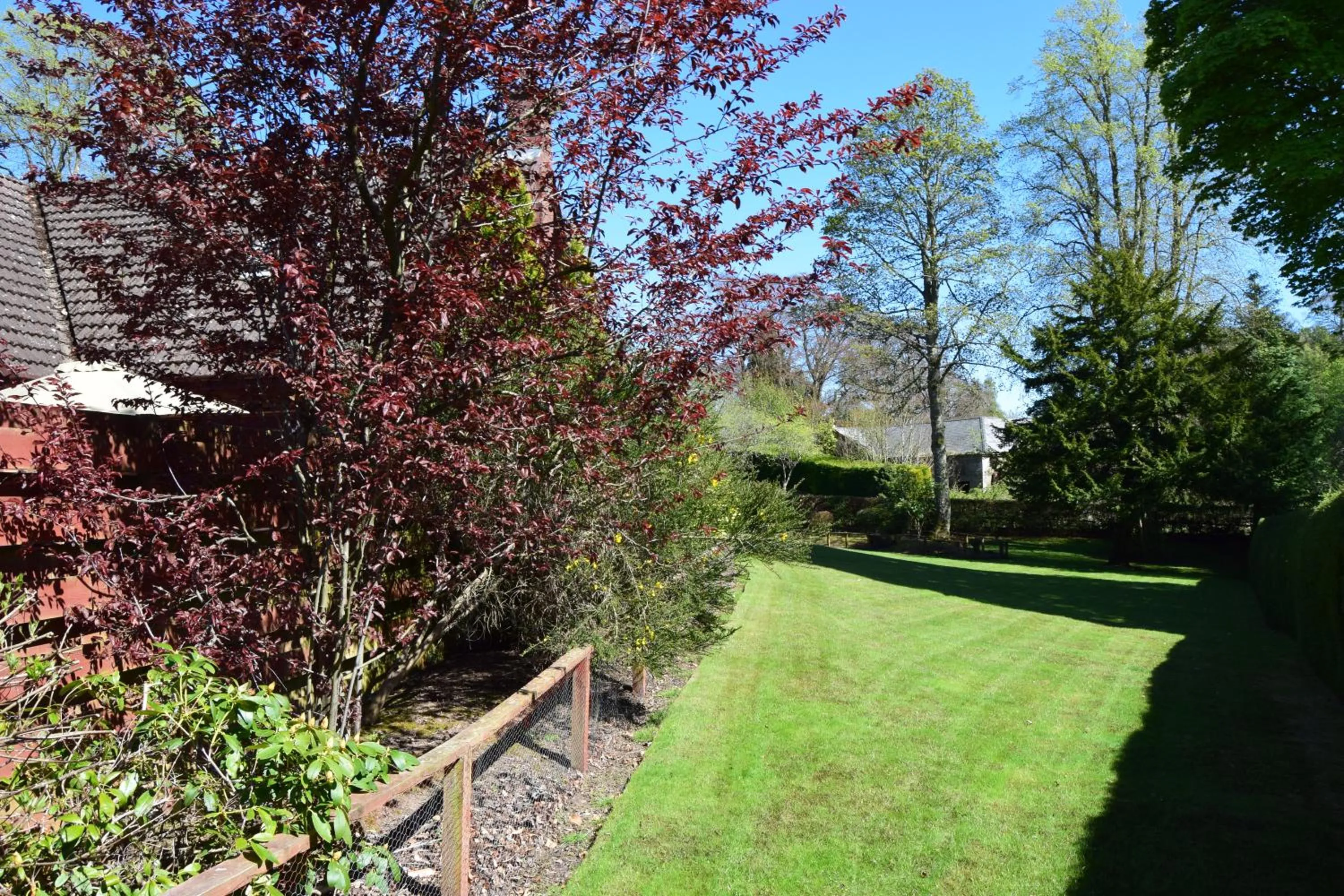 Garden view in Auburn Cottage