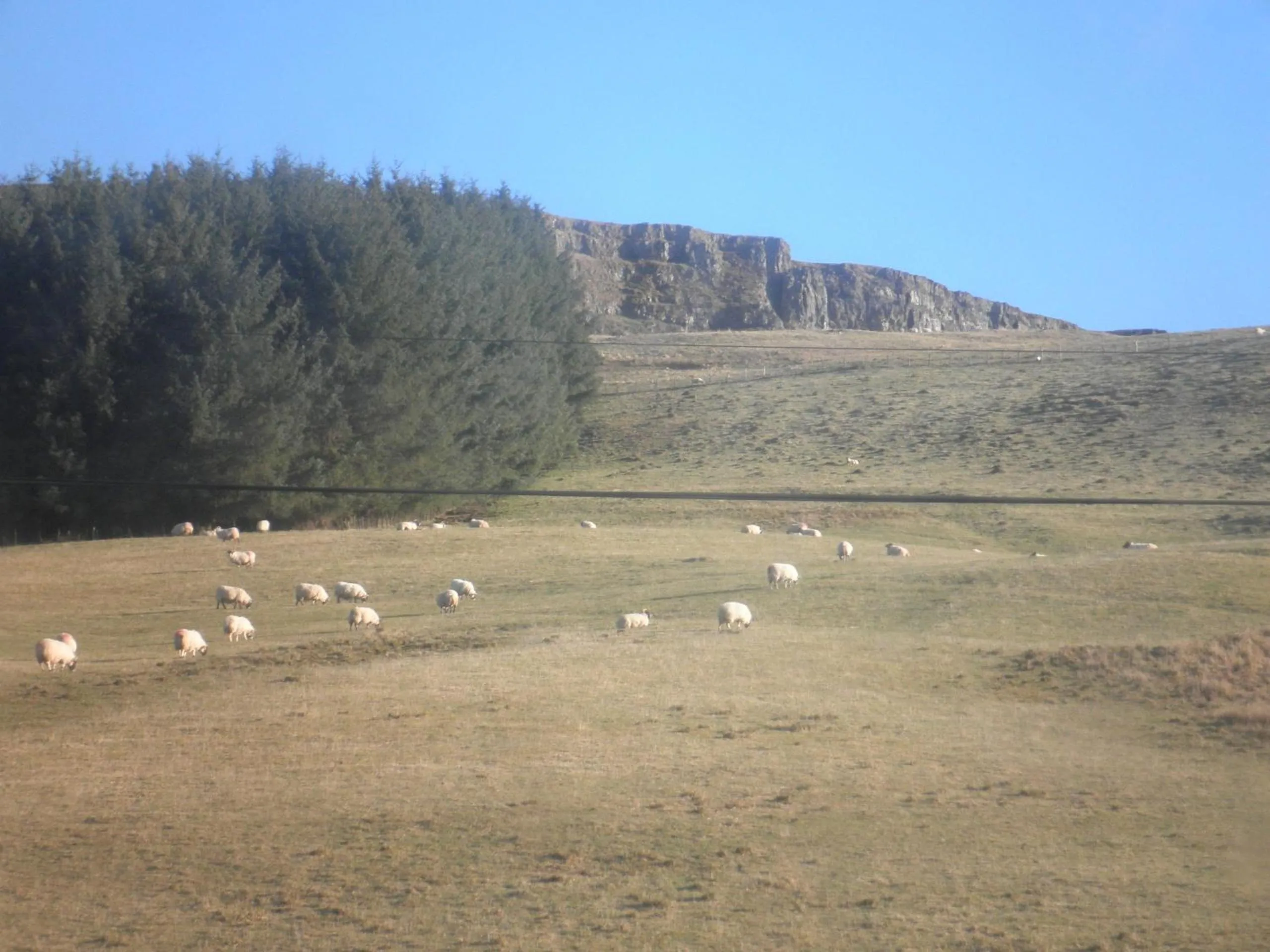 Natural landscape in Rockfoot B&B